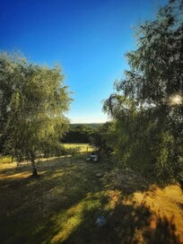 Le jardin depuis la chambre.