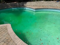 Green pool water