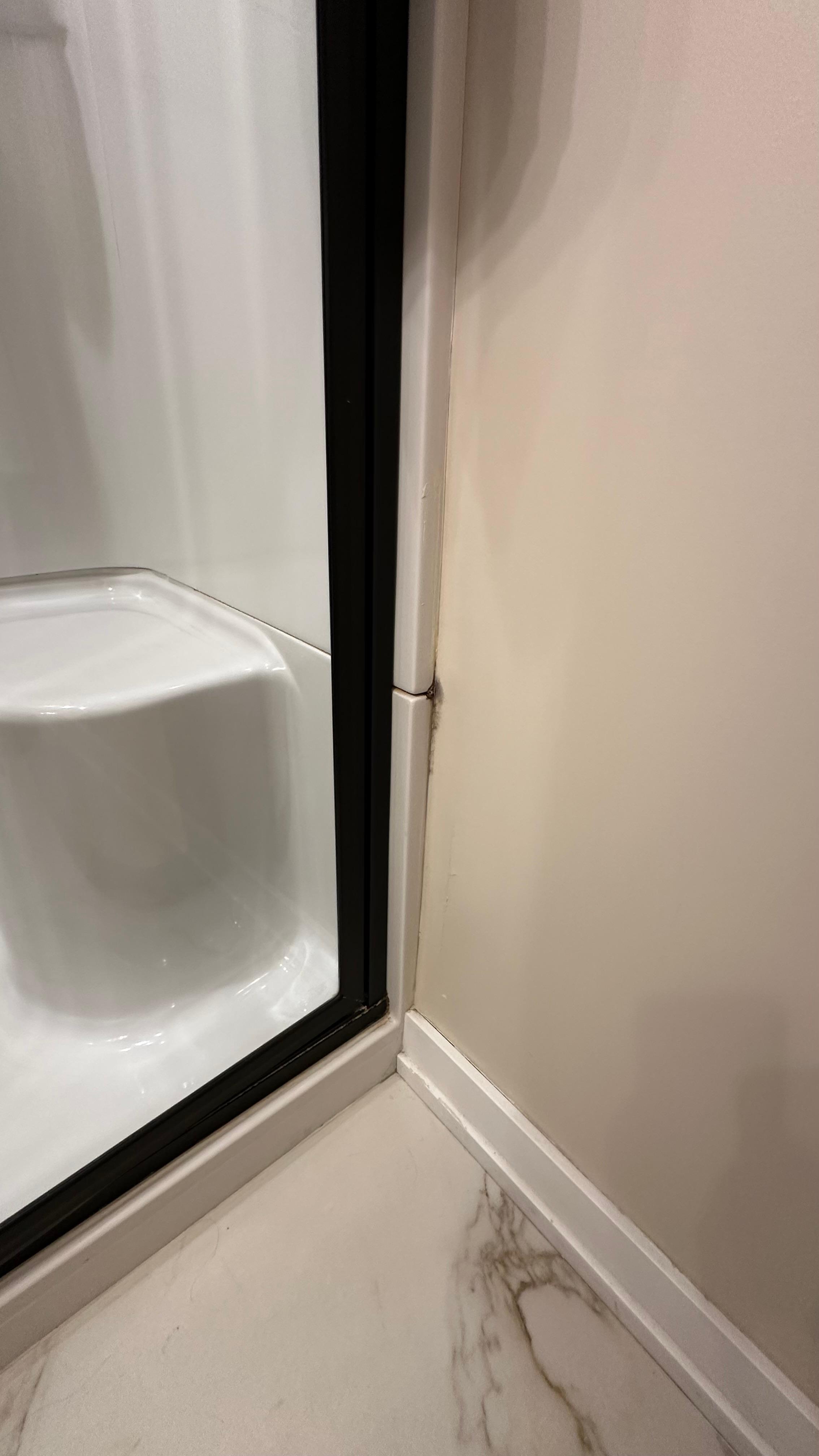 Black mold
