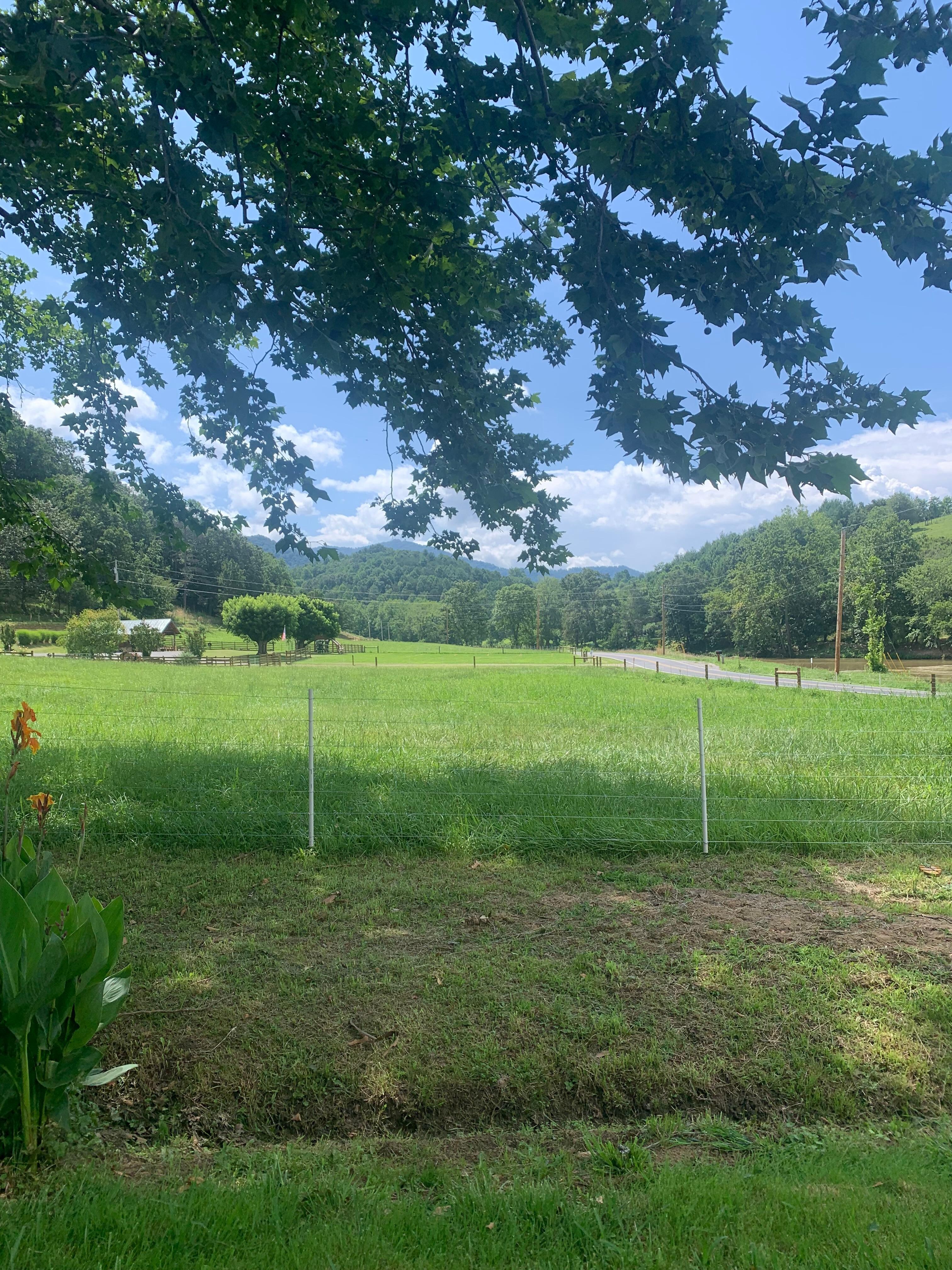 East of cottage