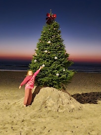 Tree on the beach decorated was trying g to look up the QR code???