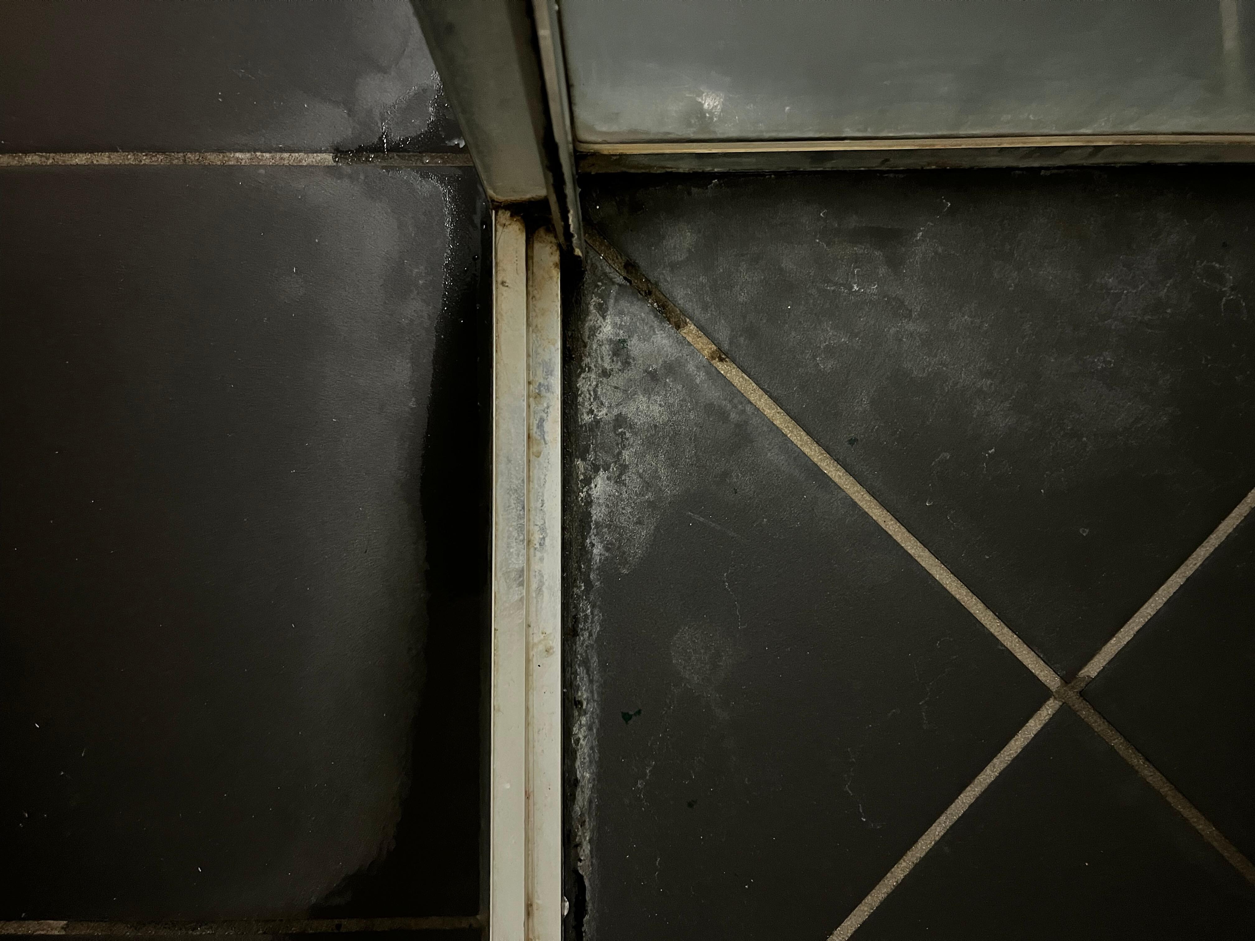 Shower floor not been cleaned 