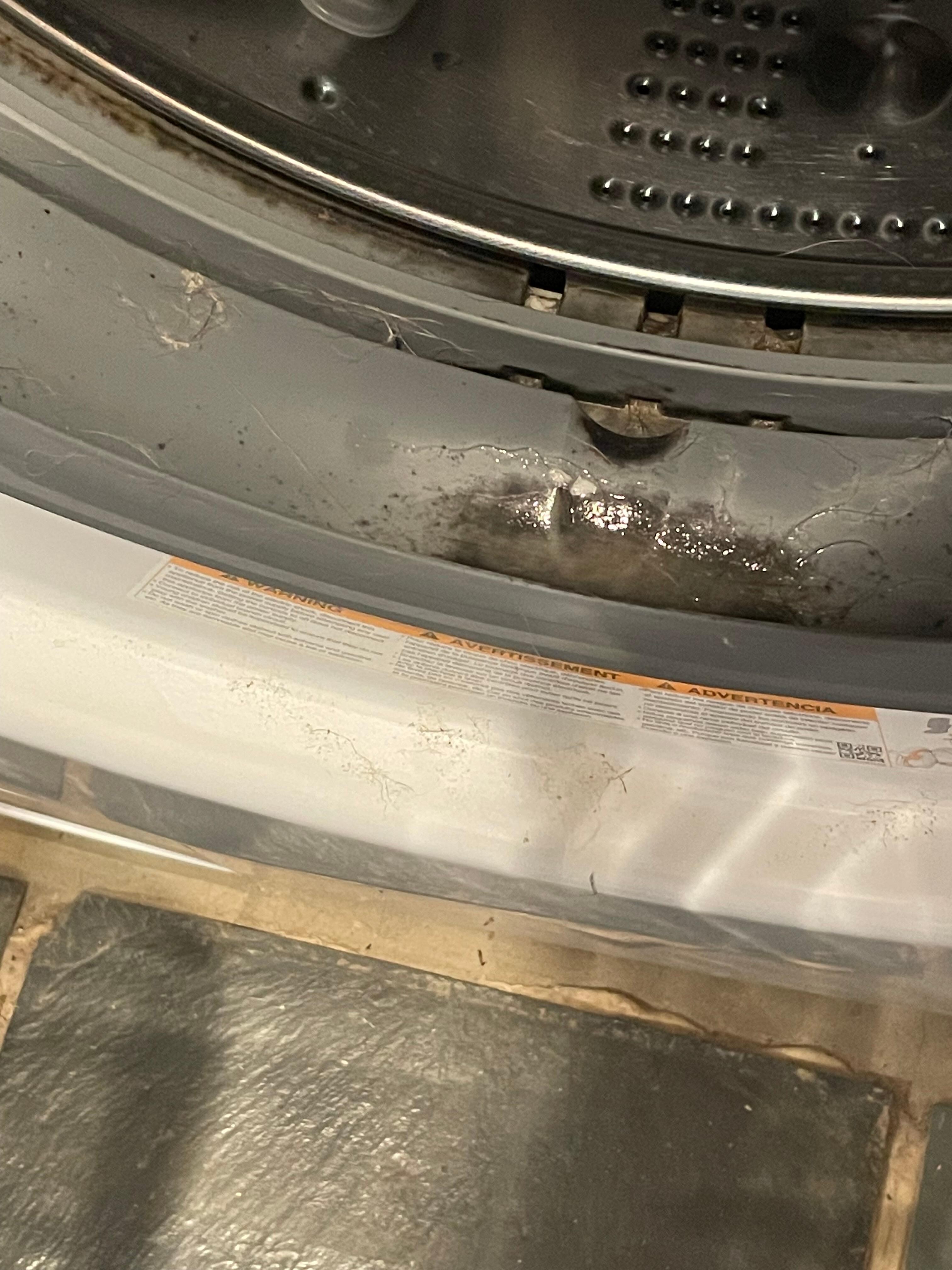 Mold in washer