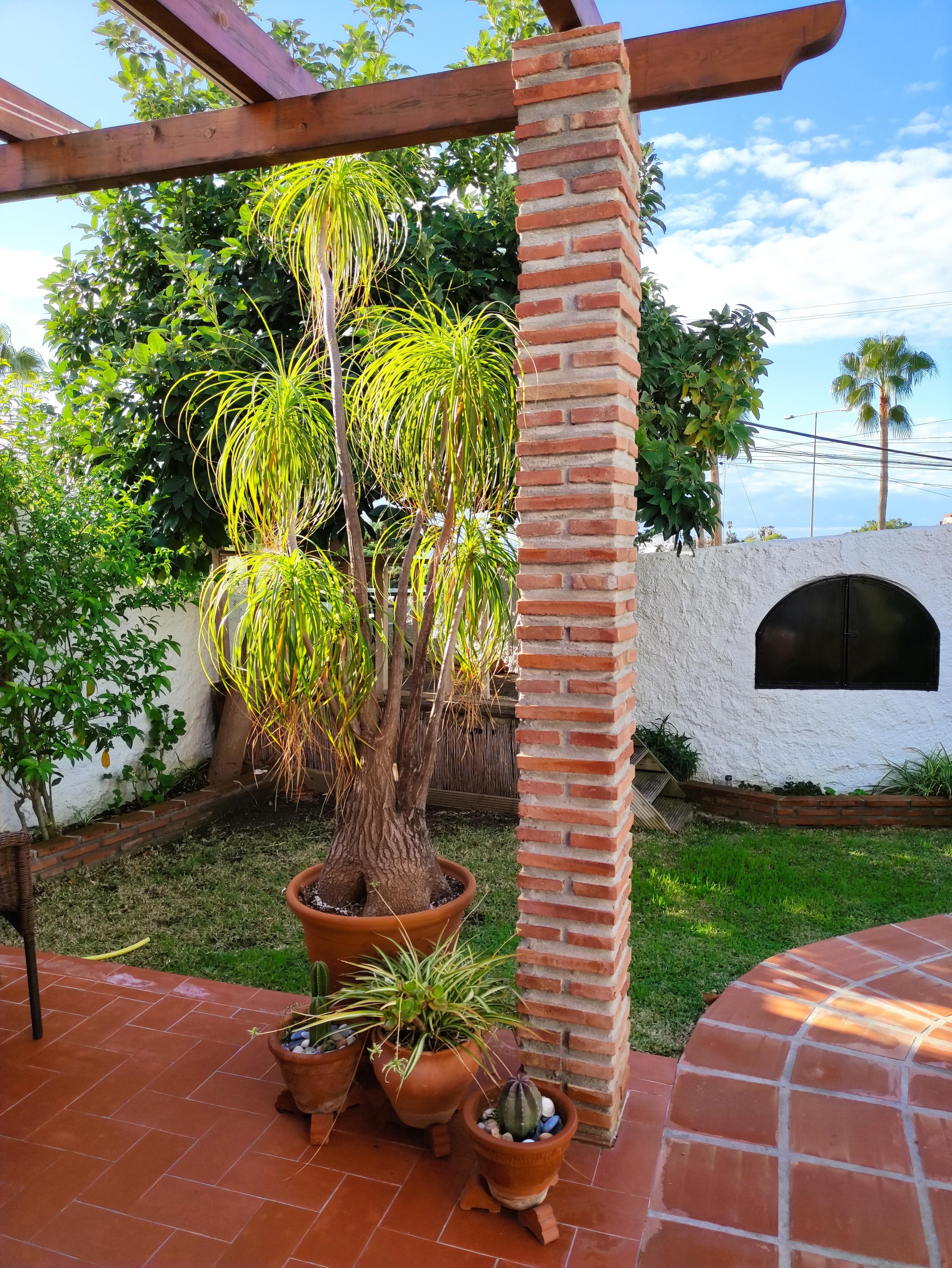 Huoneiston oma puutarha 