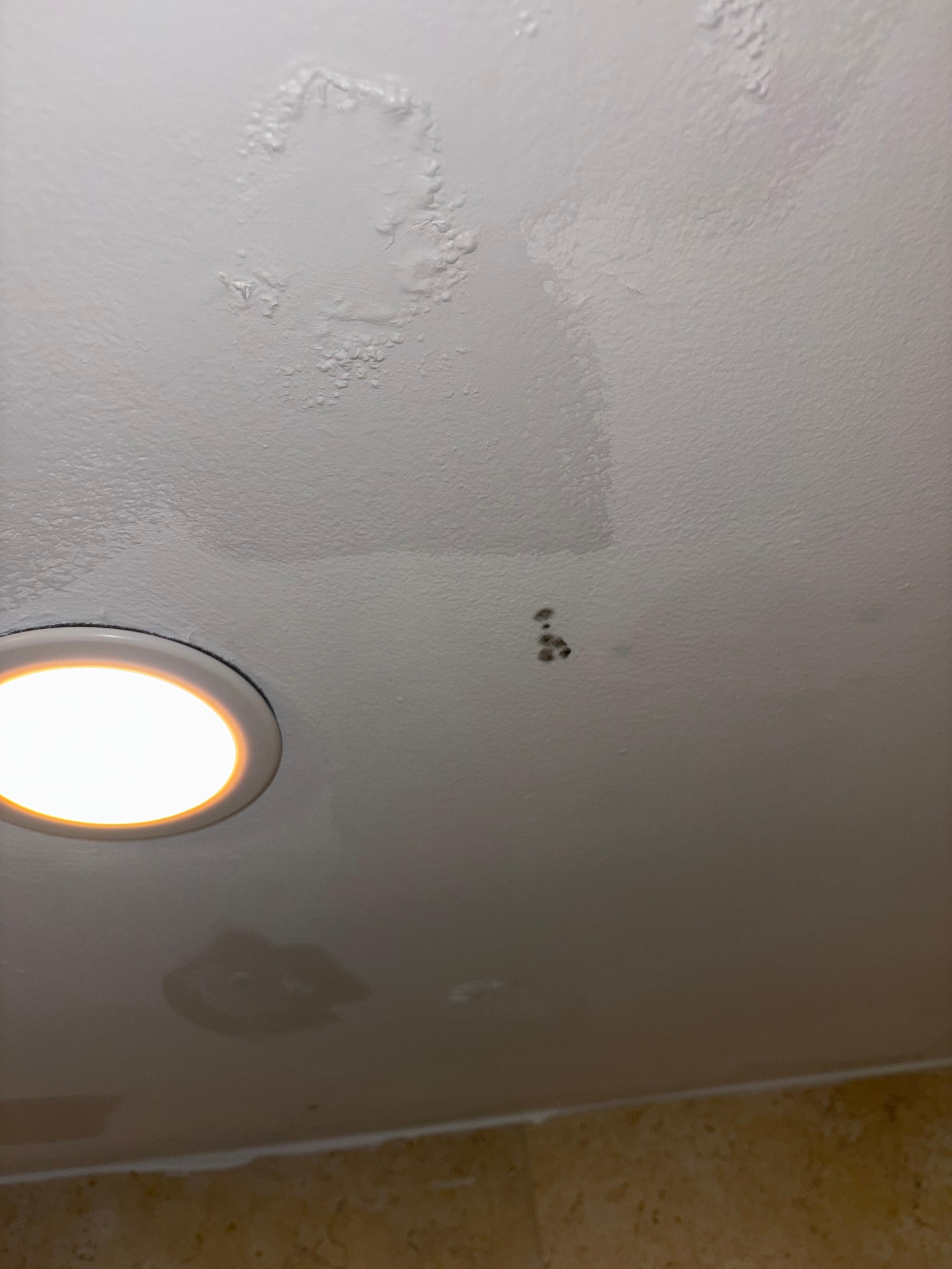 Black mold in the shower and bubbles paint covering more mold