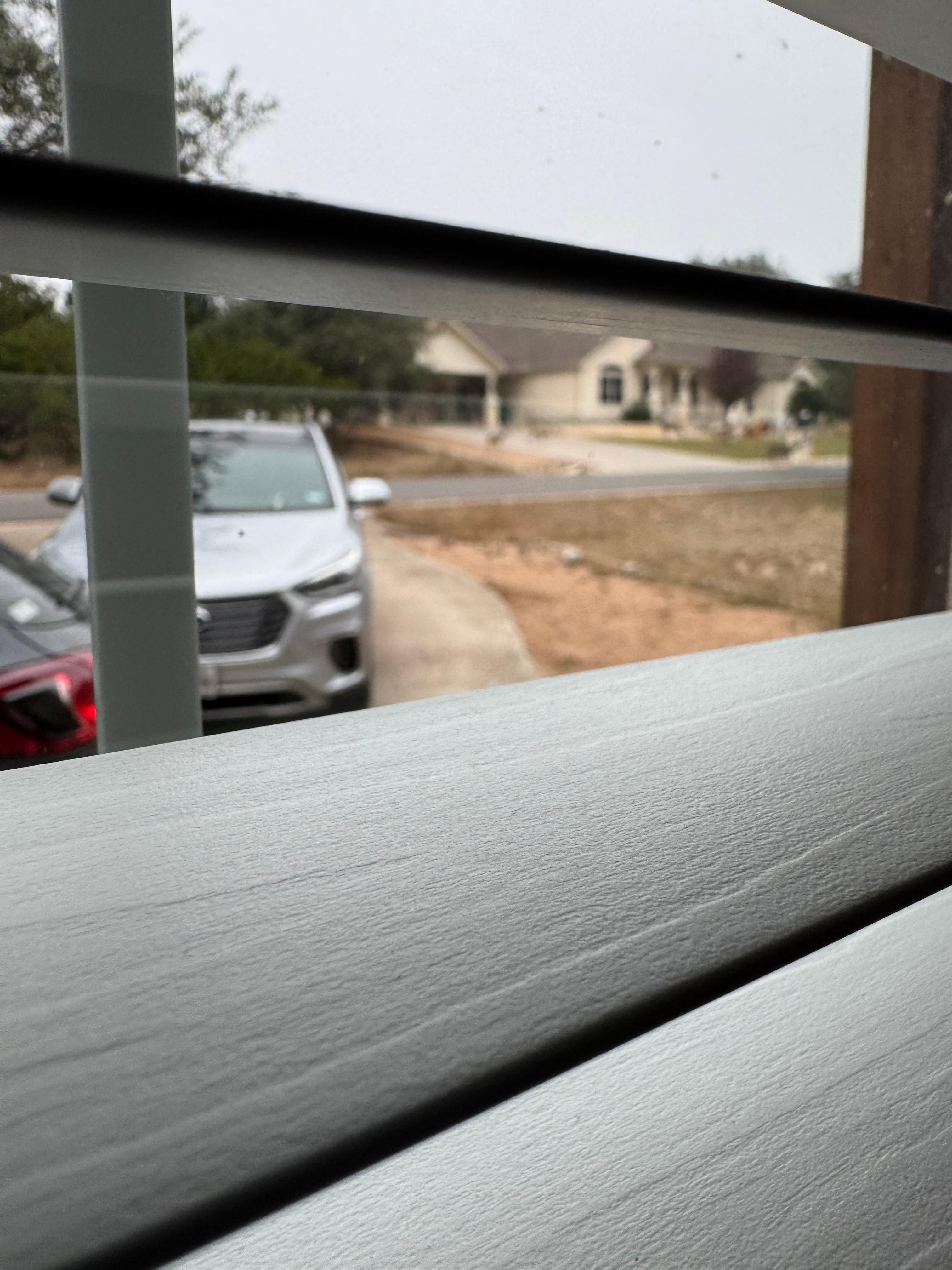 You are almost guaranteed to see deer roaming on the front lawn. 