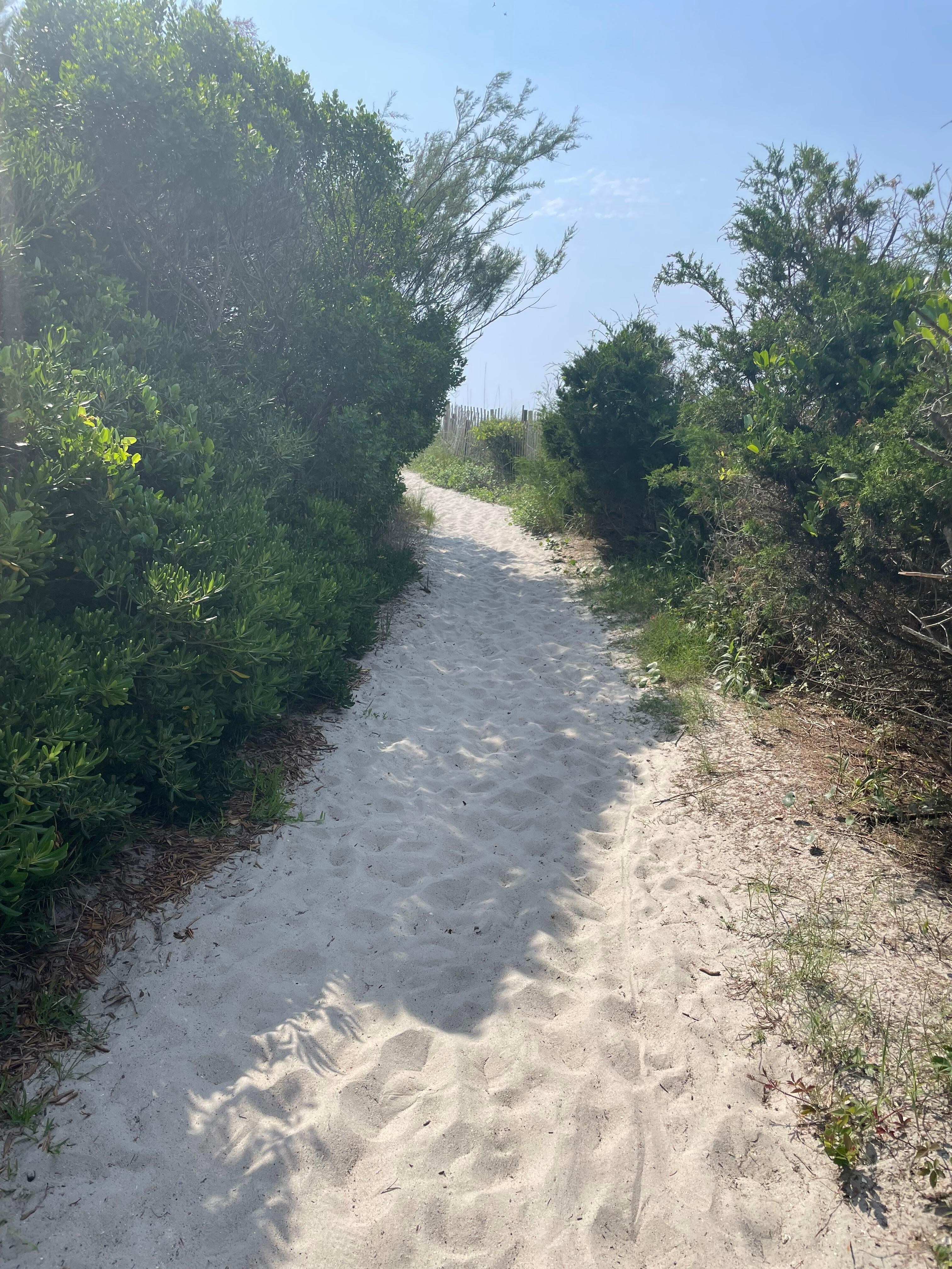 walkway to the beach 