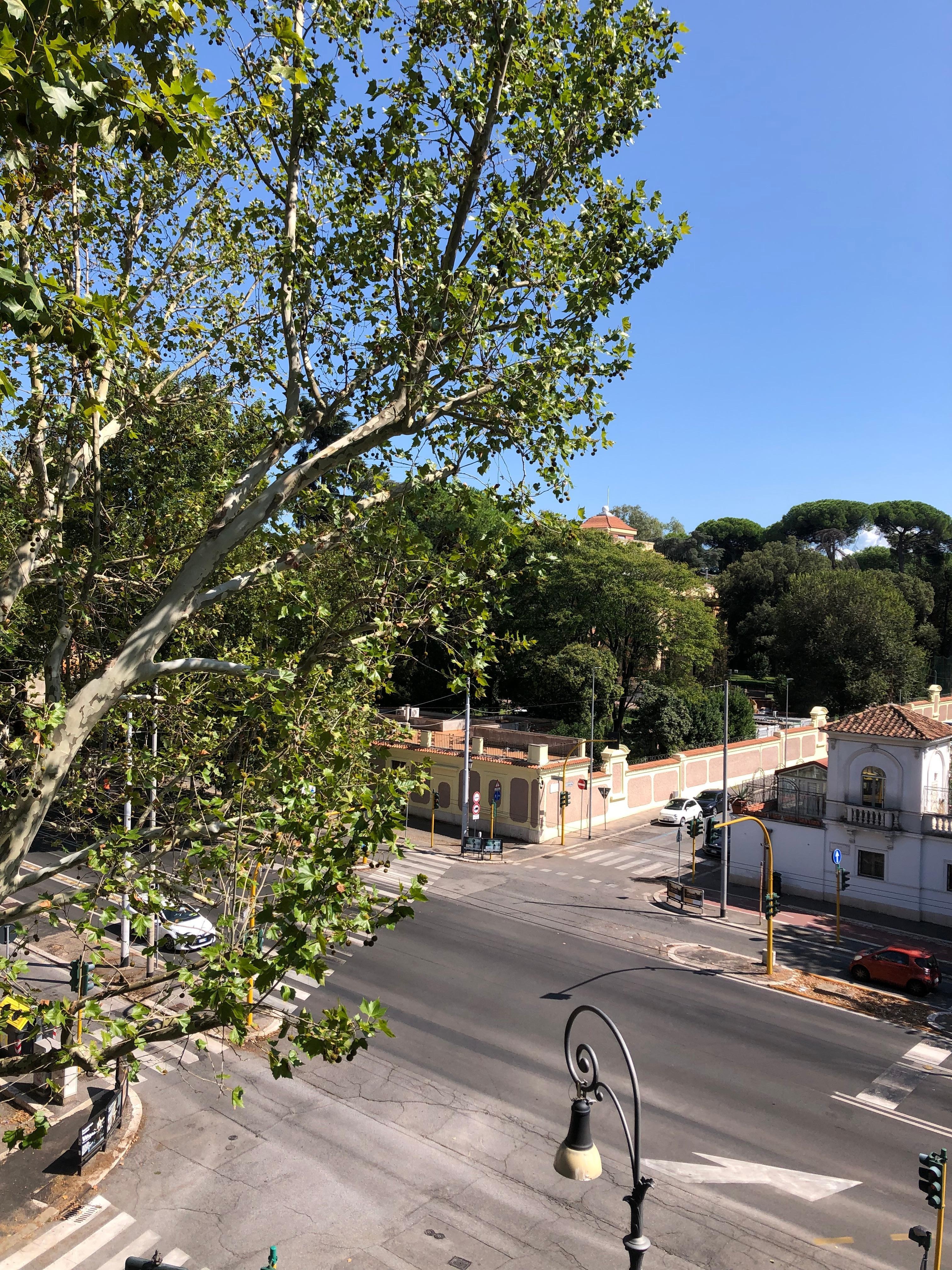 4층 객실 발코니에서의 전망