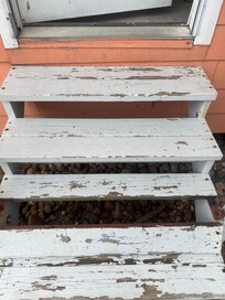 Stairs stairs, I almost fell down their loose and need work