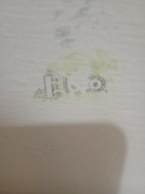 On the bathroom wall