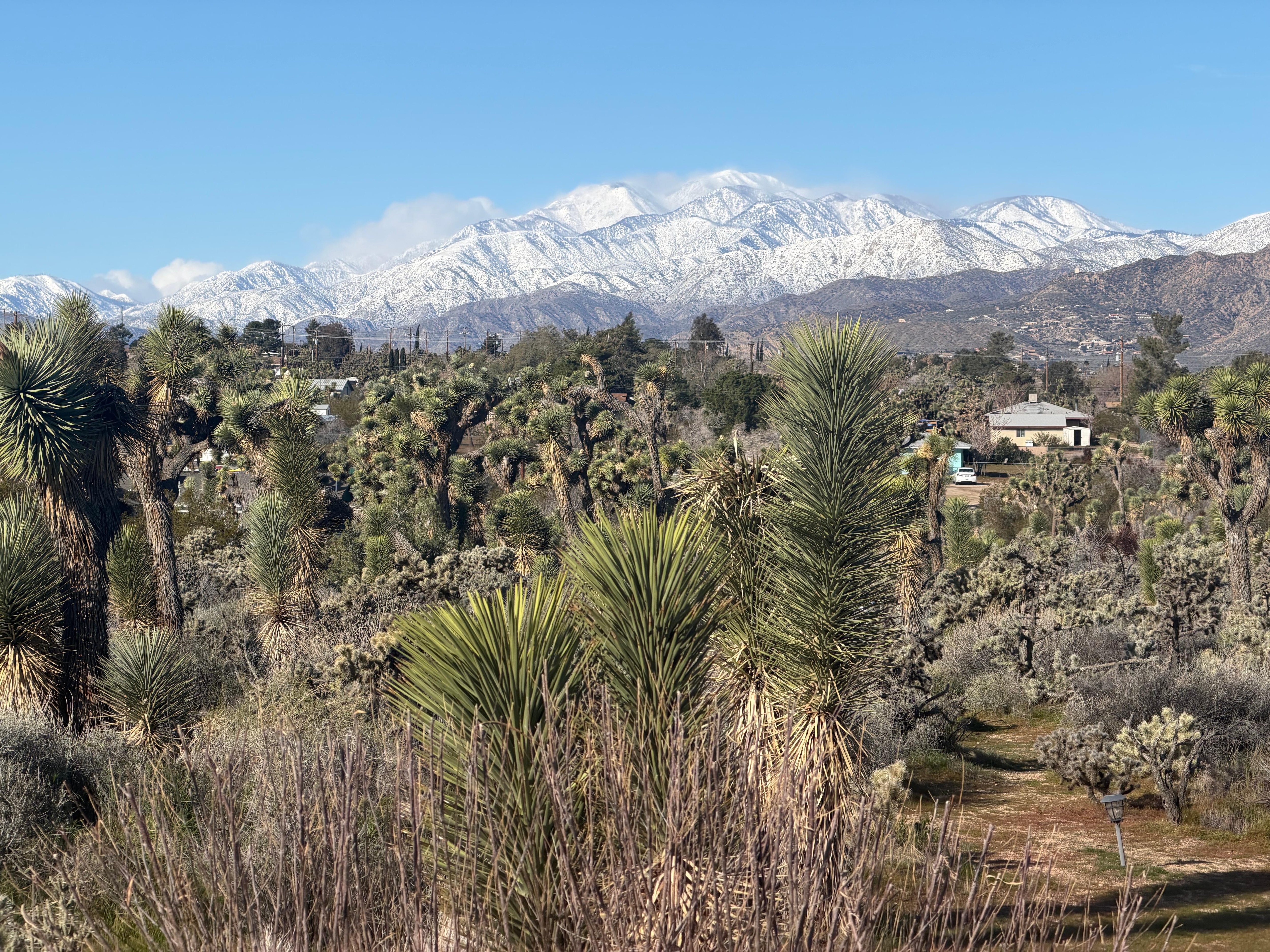 Sunrise on our departure day. 