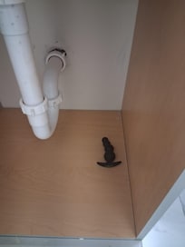 Esto estaba dentro del gabinete del baño.