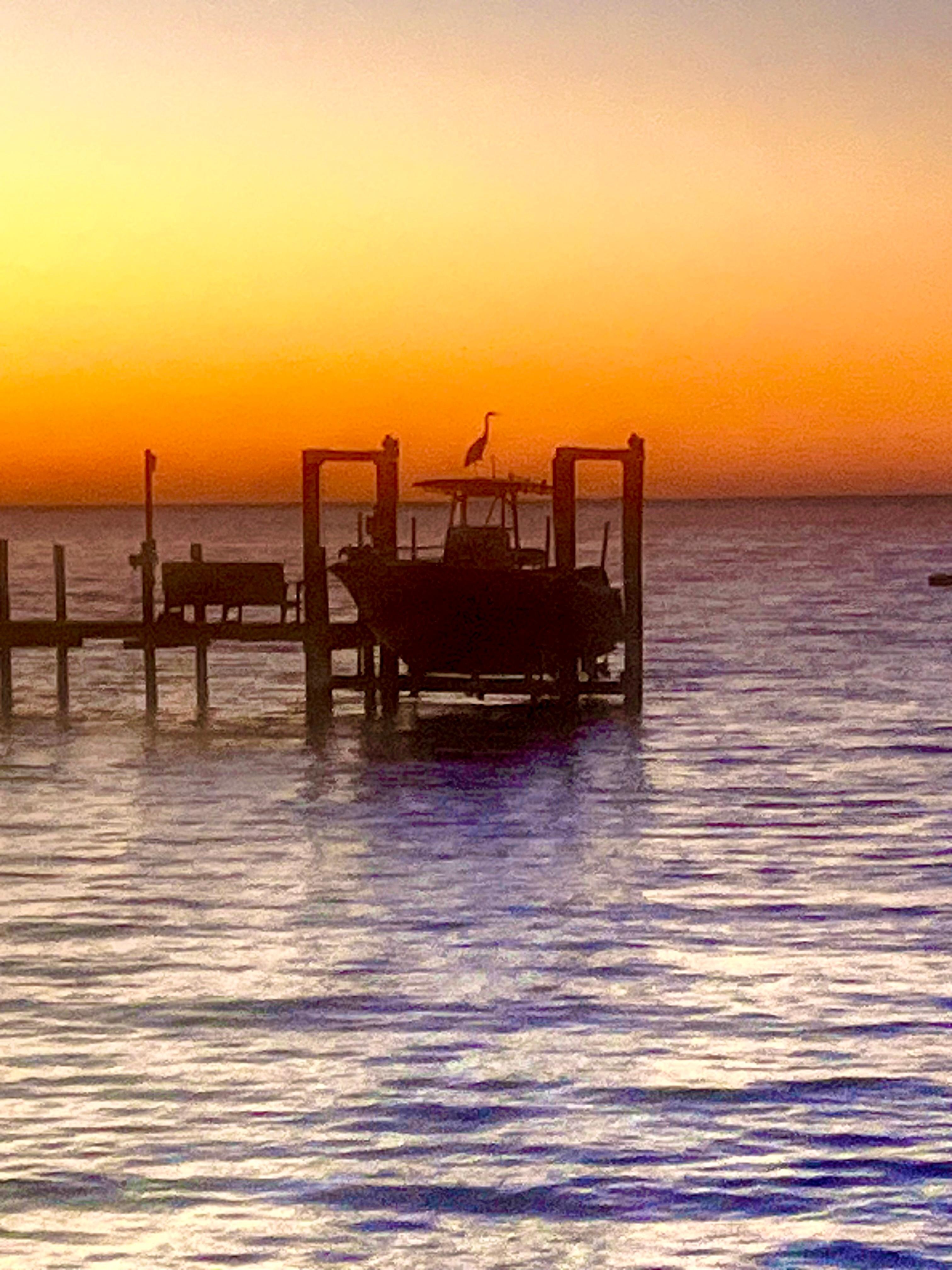 A heron swooped down and perched on the boat during a magical sunset.