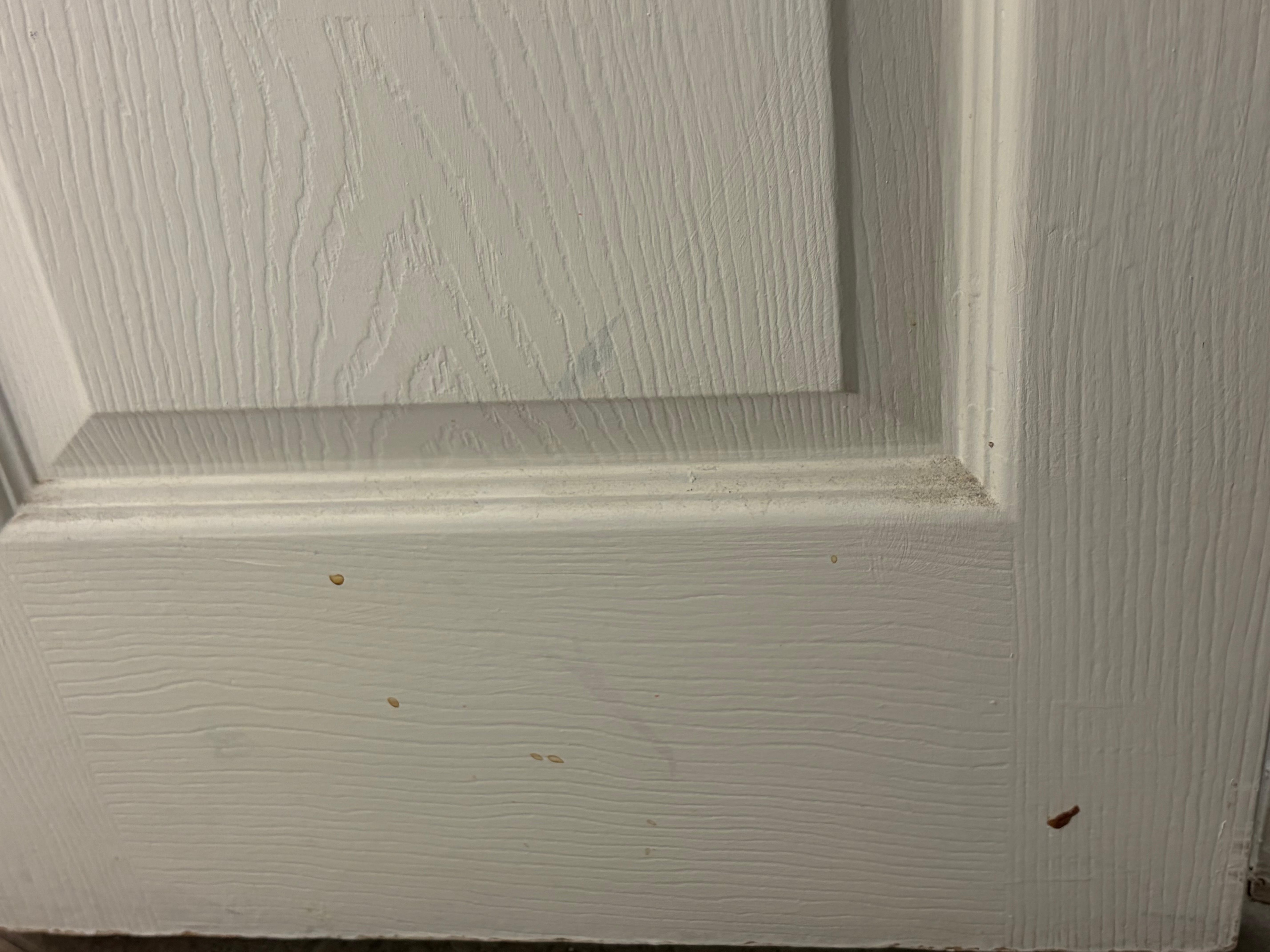 The dirty bathroom door doors