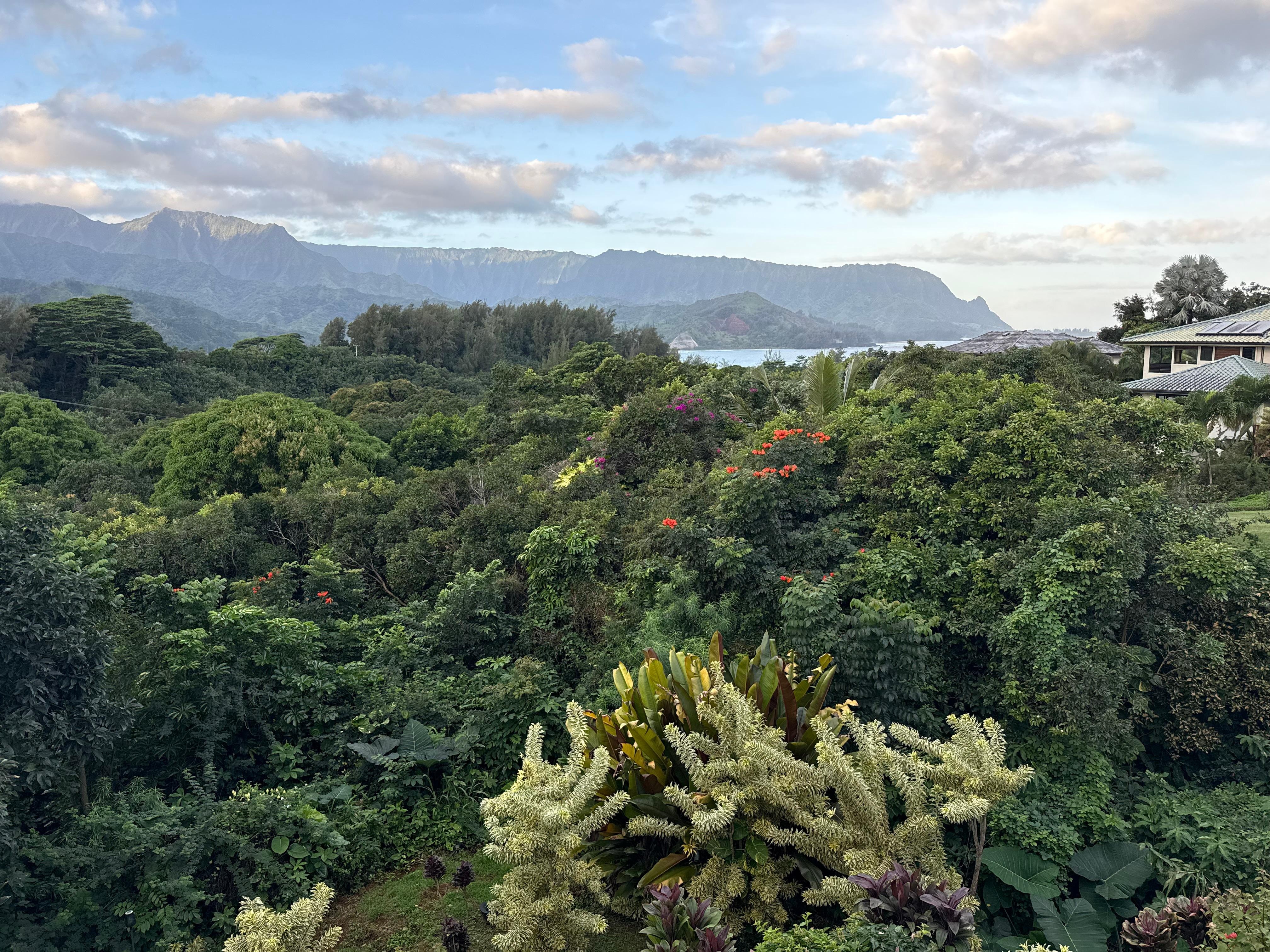 Patio View simply amazing 
