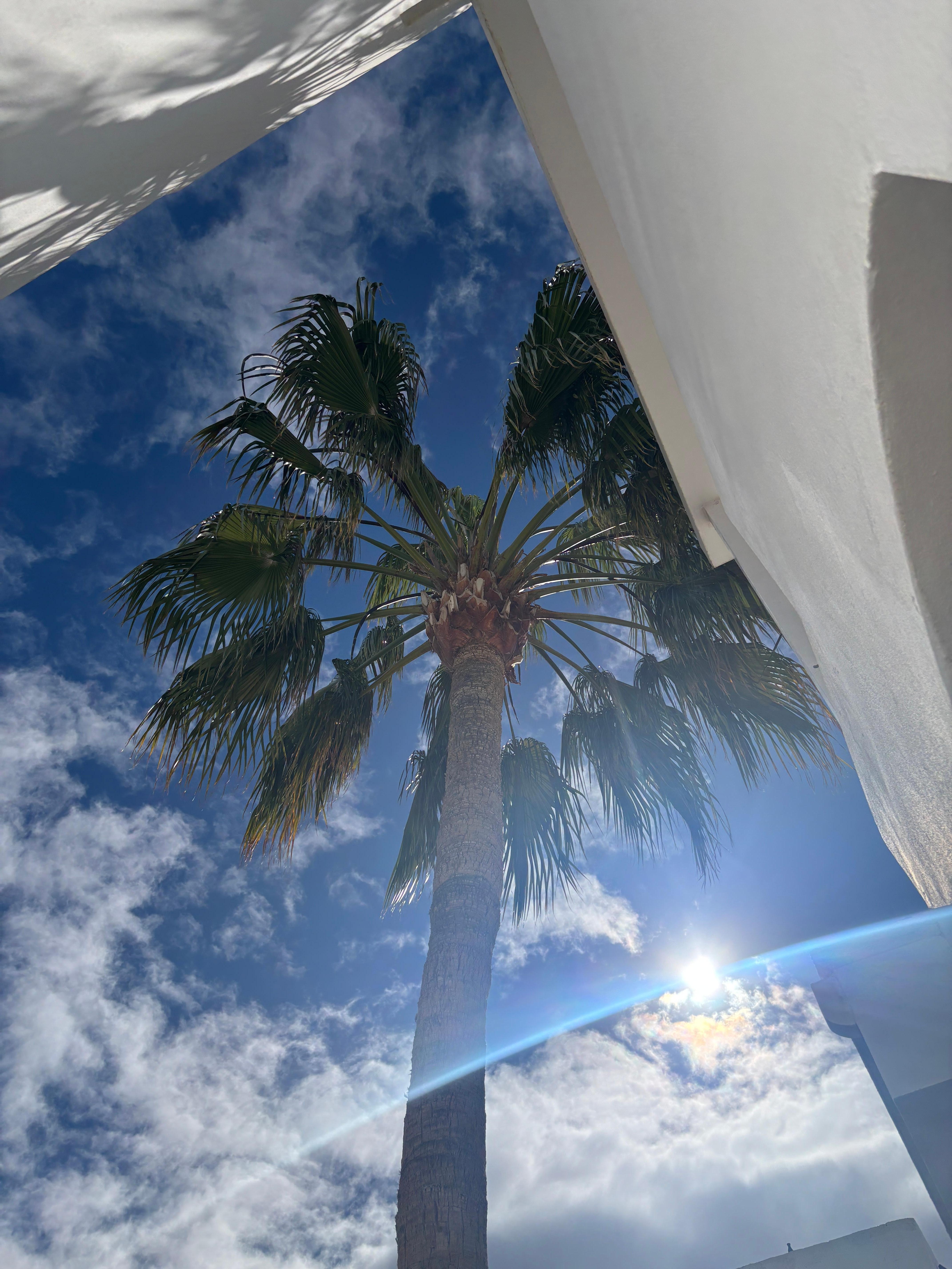 The perfect suntrap for morning coffee