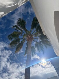 The perfect suntrap for morning coffee