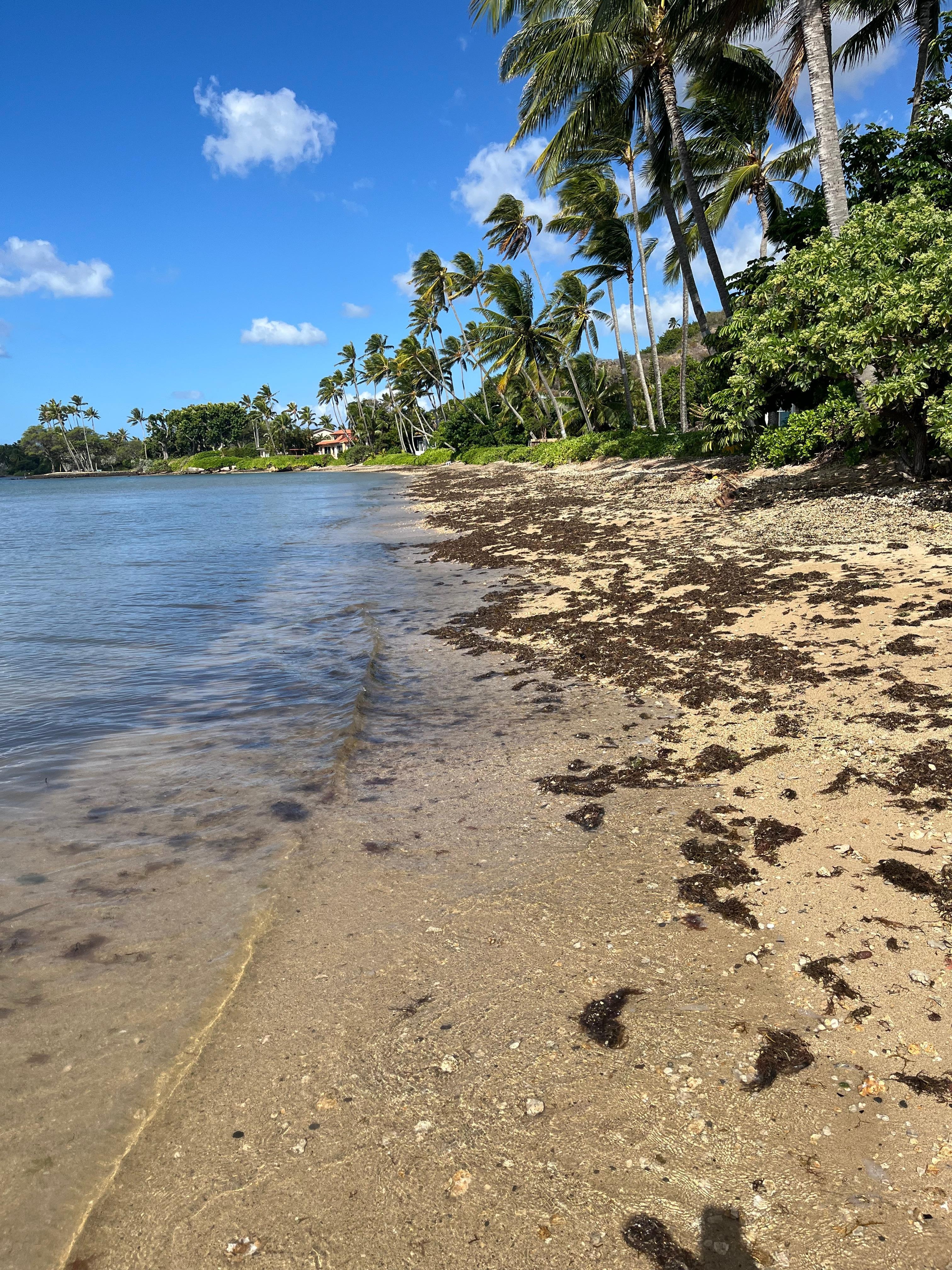 On beach looking West