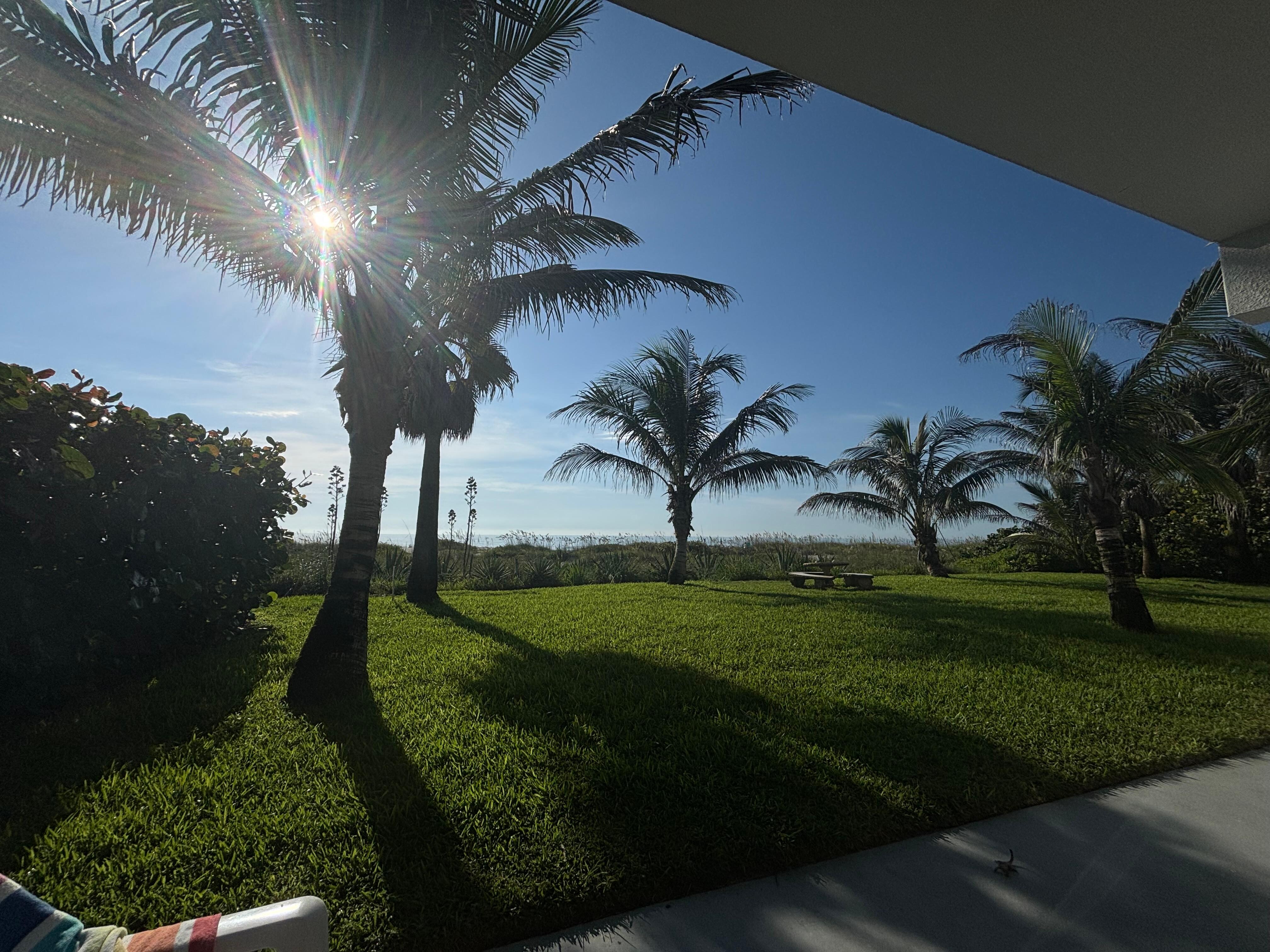 Our view during our morning coffees