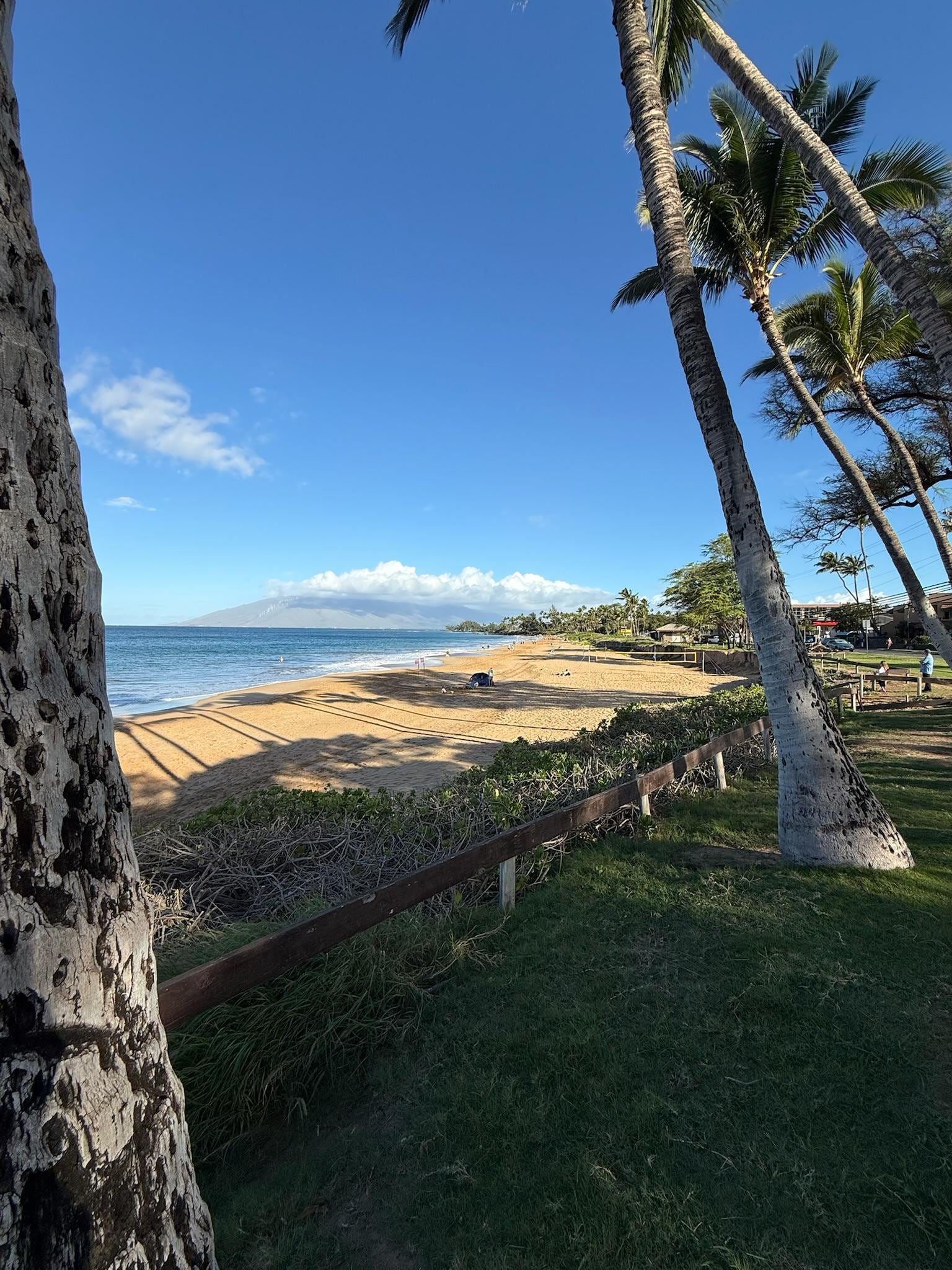 Kameole 1 beach across the street