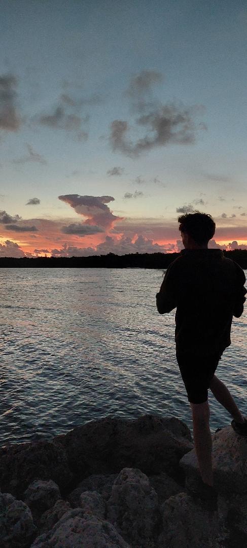 A shark in the clouds!!