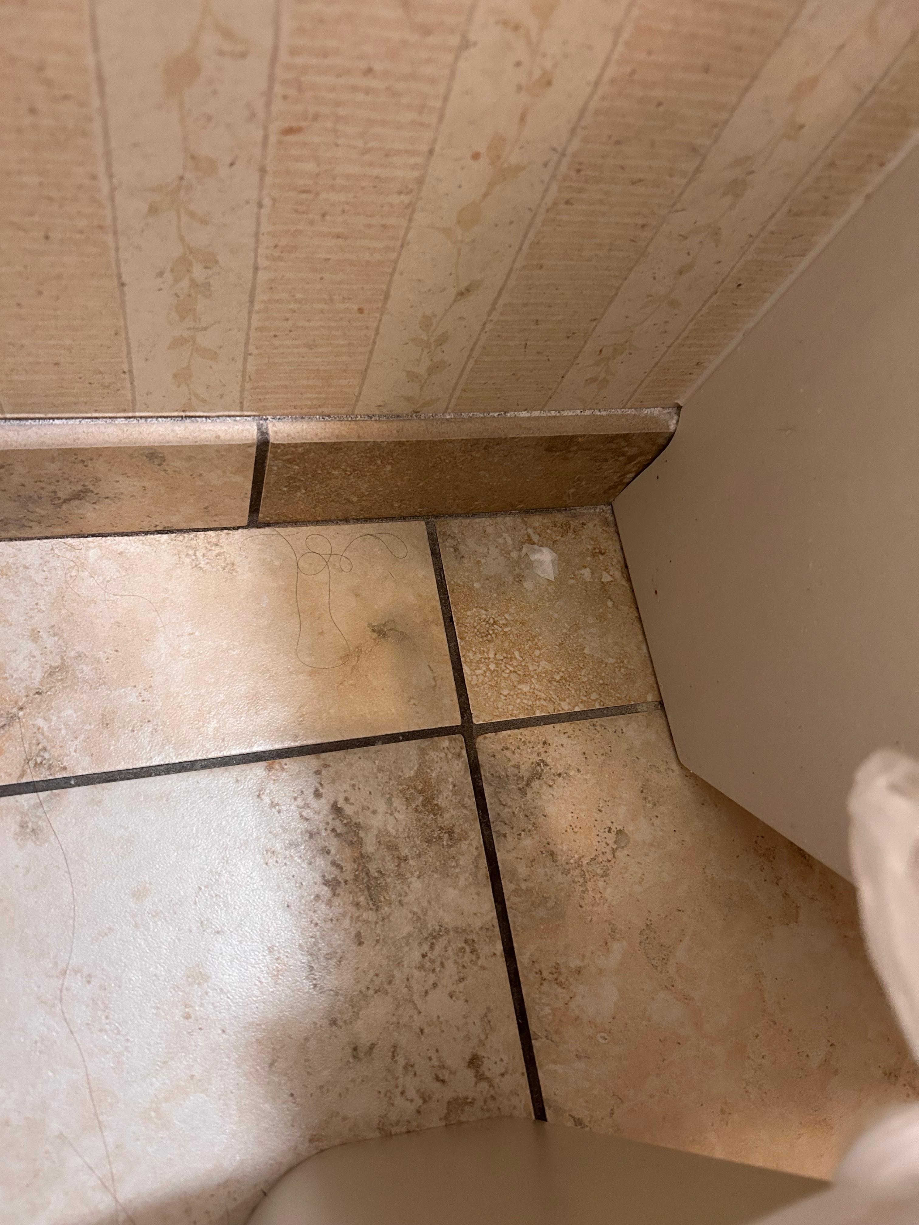 Toilet paper chunk on the floor