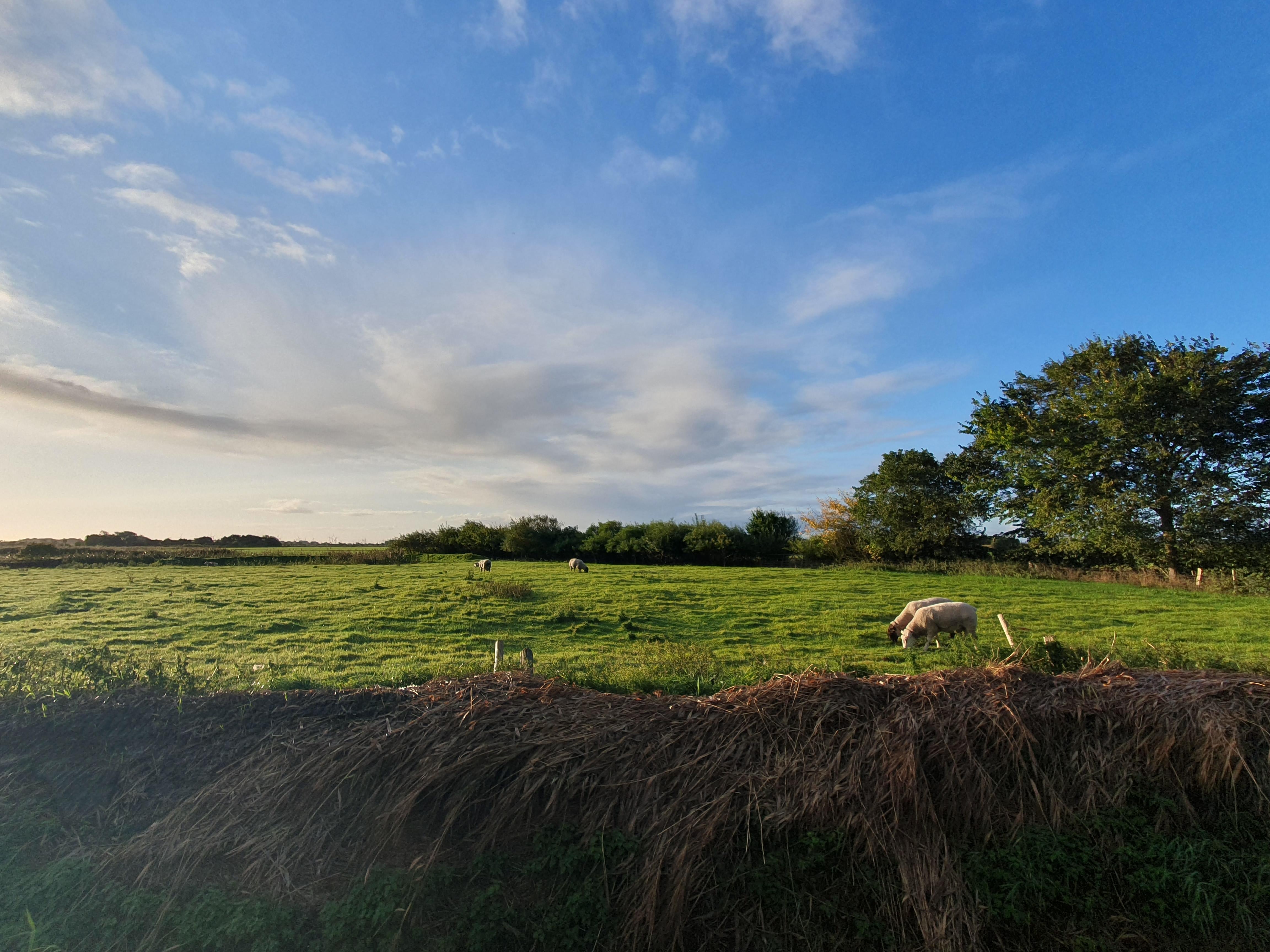 Unsere "Nachbarn" gegenüber.