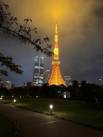 Tokyo tower right next to the hotel.