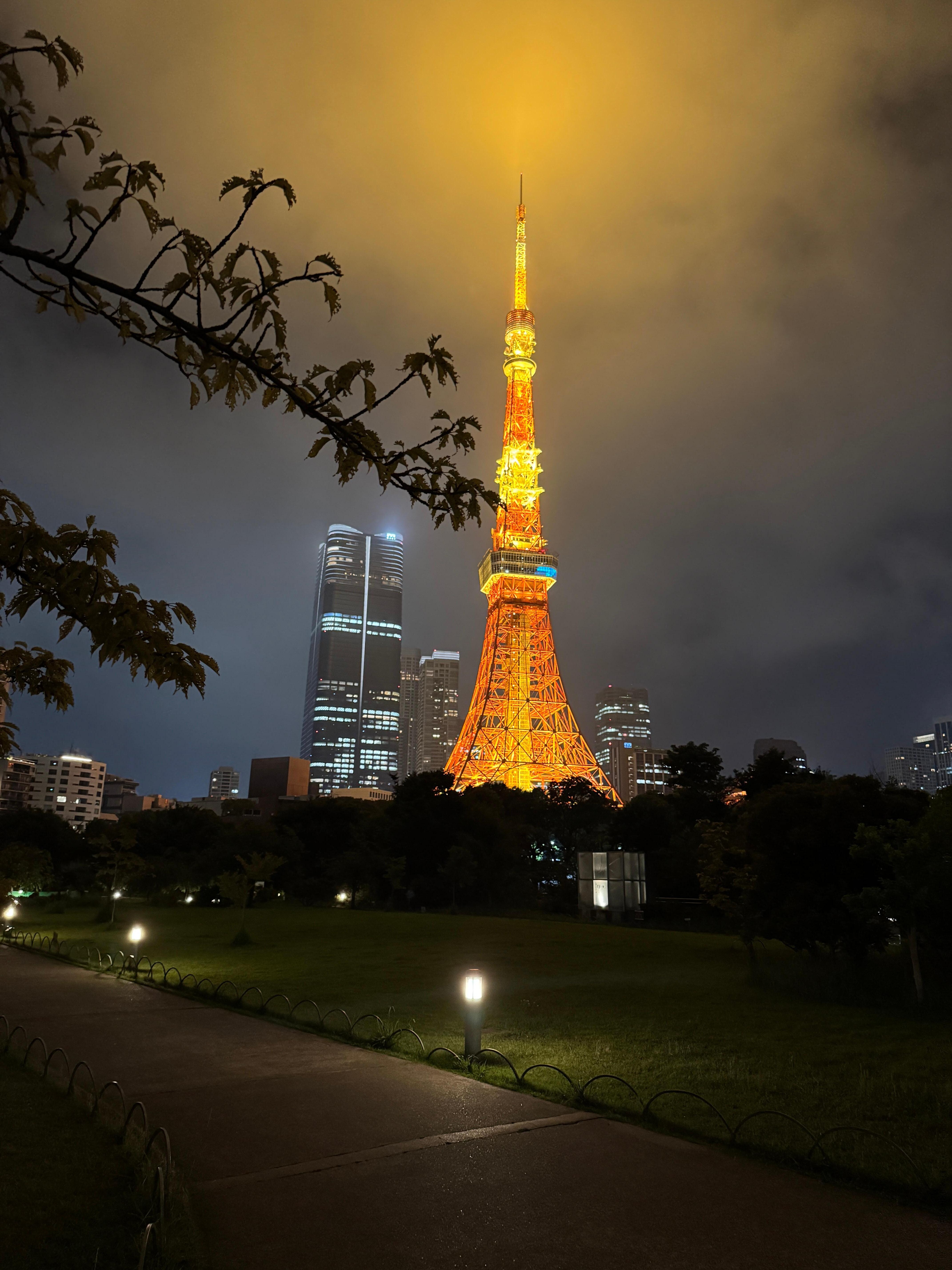 Tokyo tower right next to the hotel. 