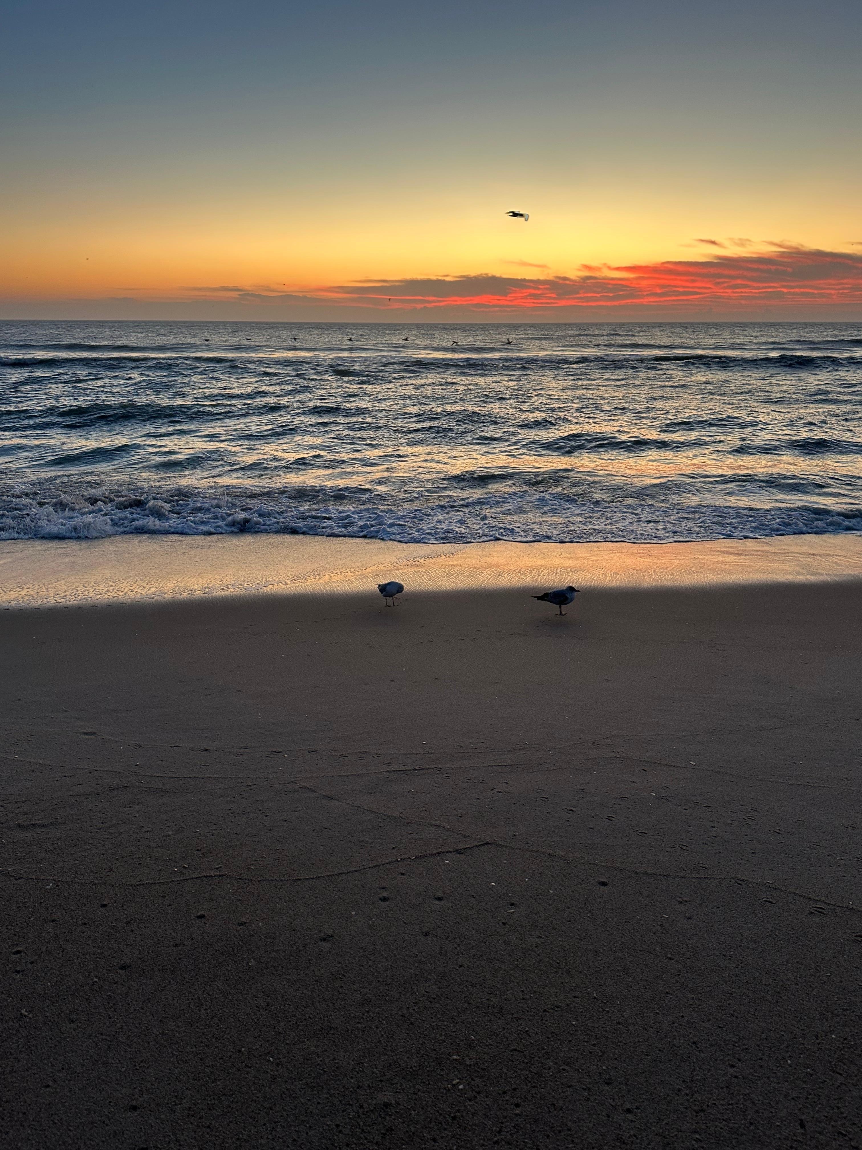 We came for family time at the beach.  The family had a great time but some of them don’t like being on social media.  So all our pictures for here are of the near by landscape. 