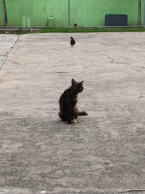 Little visitors