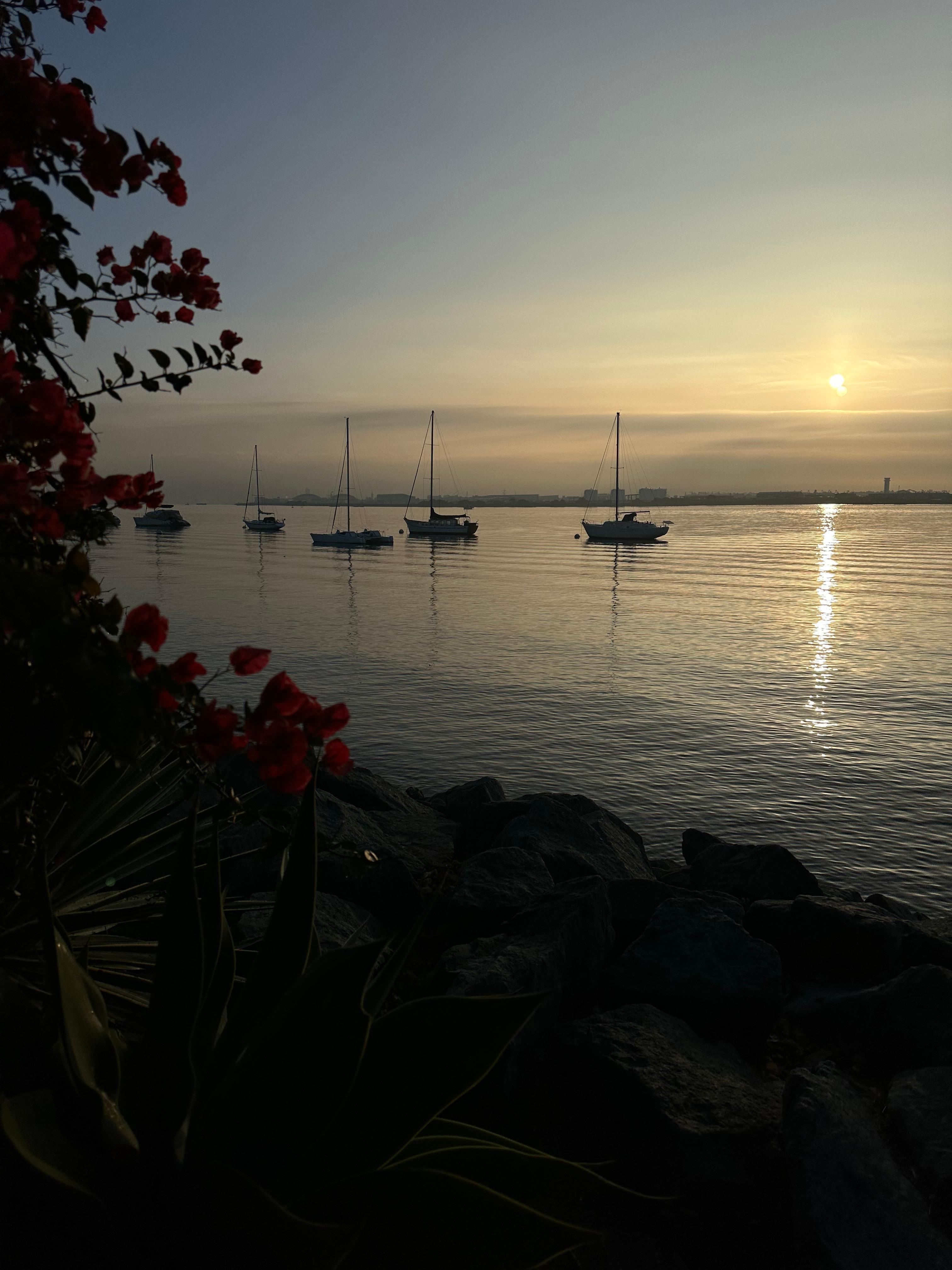 Walk along the bay across the street 