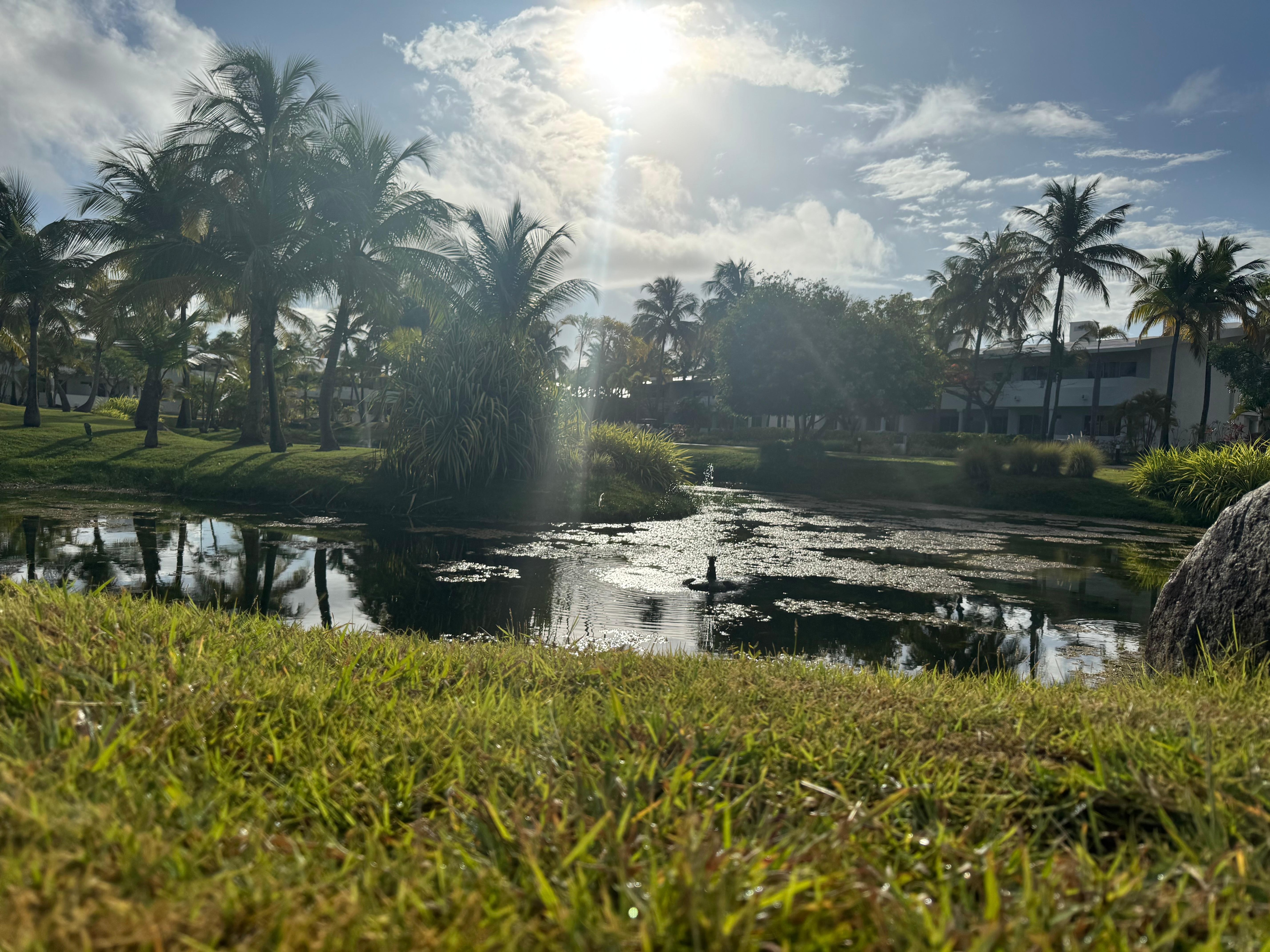 Pond near our room