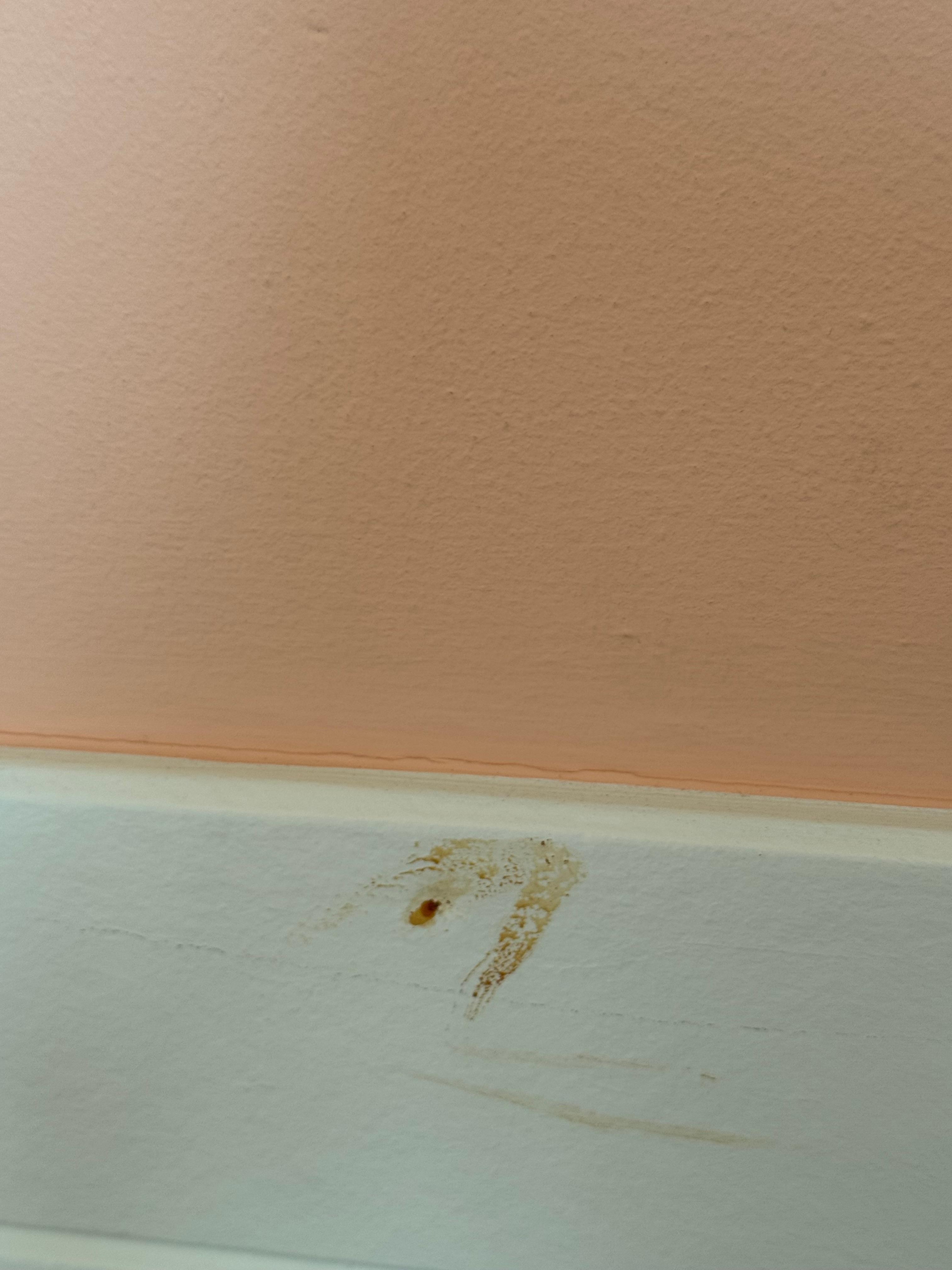 Stains on walls