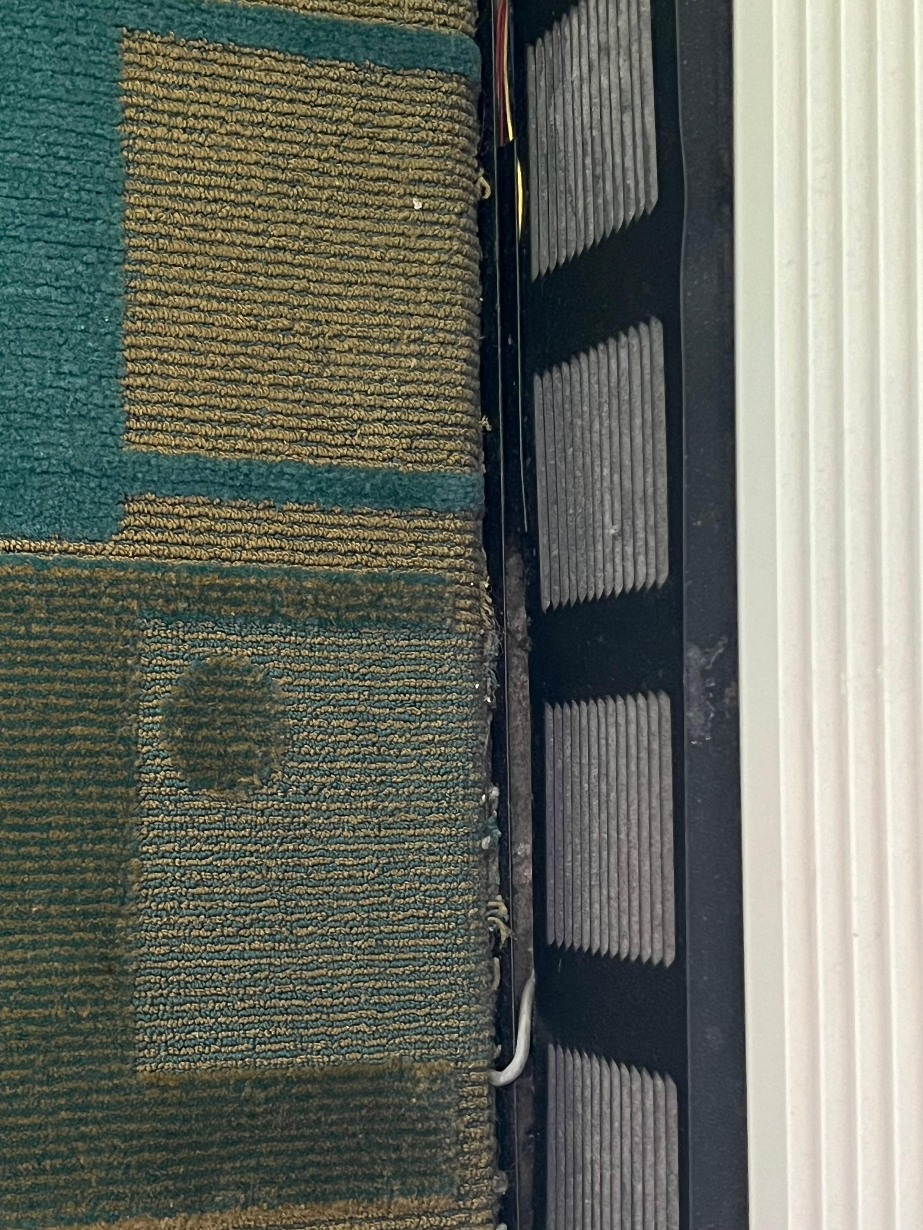 Stained and dirty carpeting