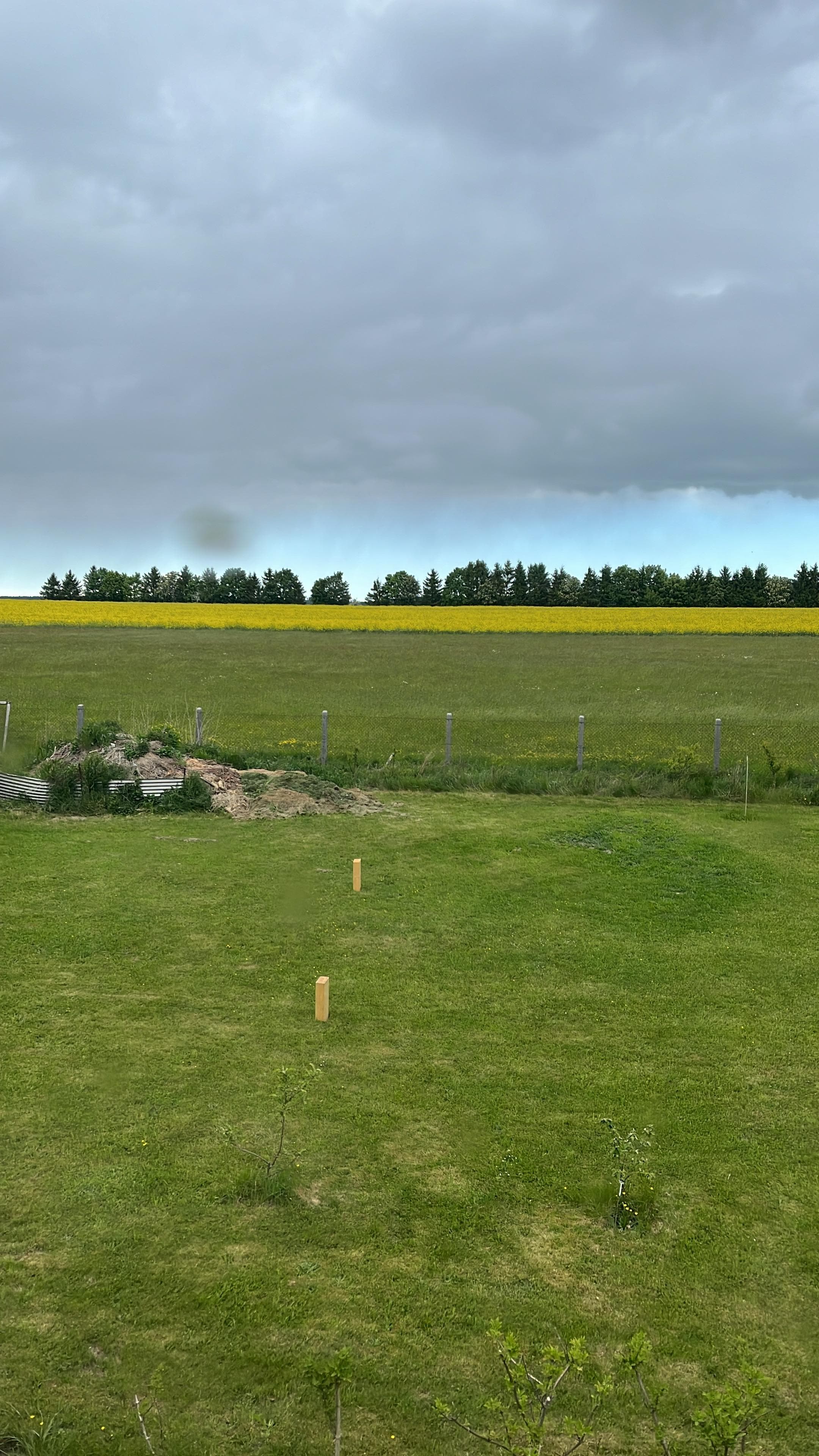 Blick aus der Küche