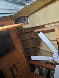Ceiling view