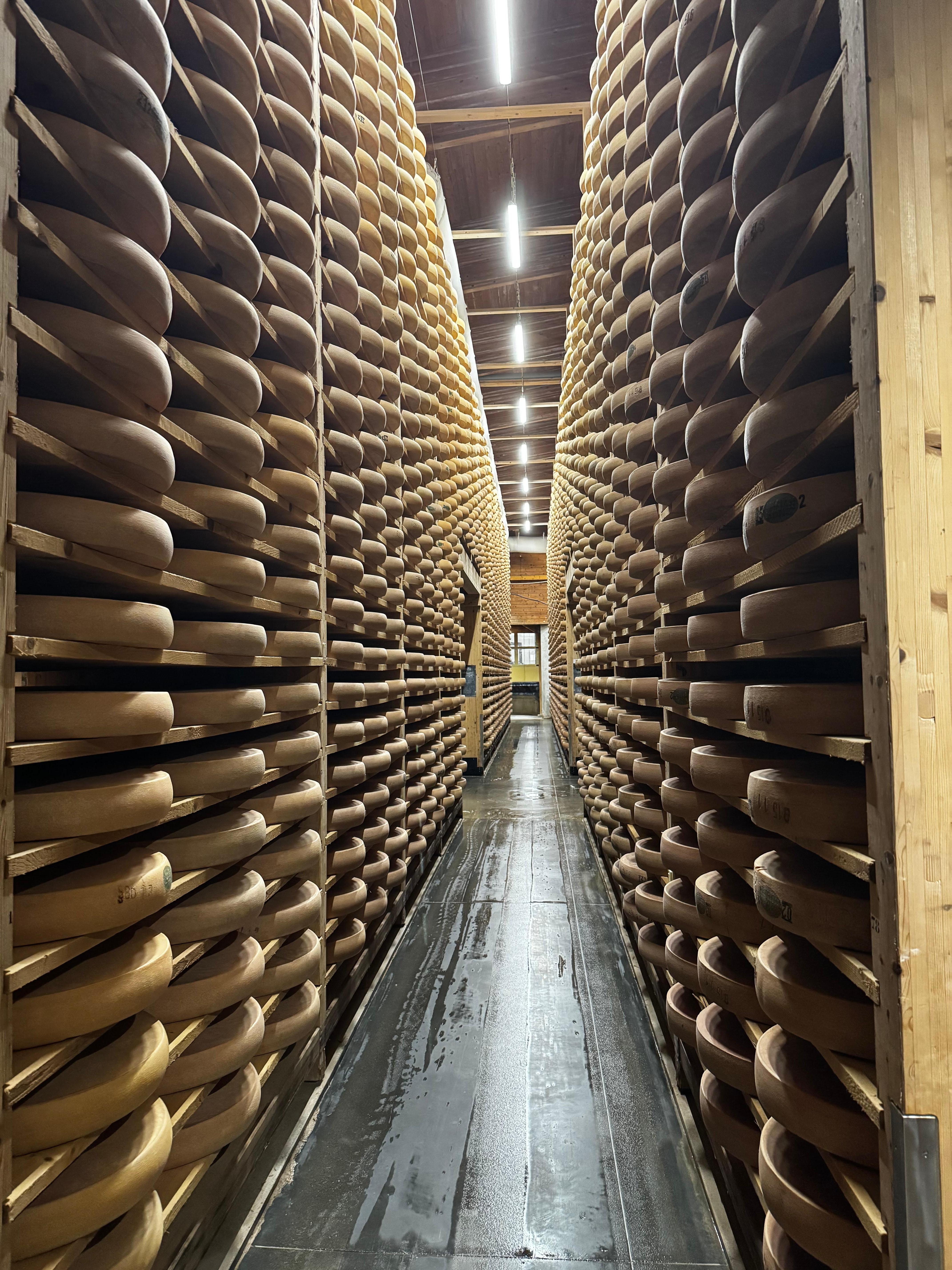 Le fort saint Antoine 