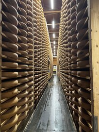 Le fort saint Antoine