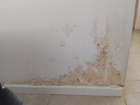 Mur de la chambre