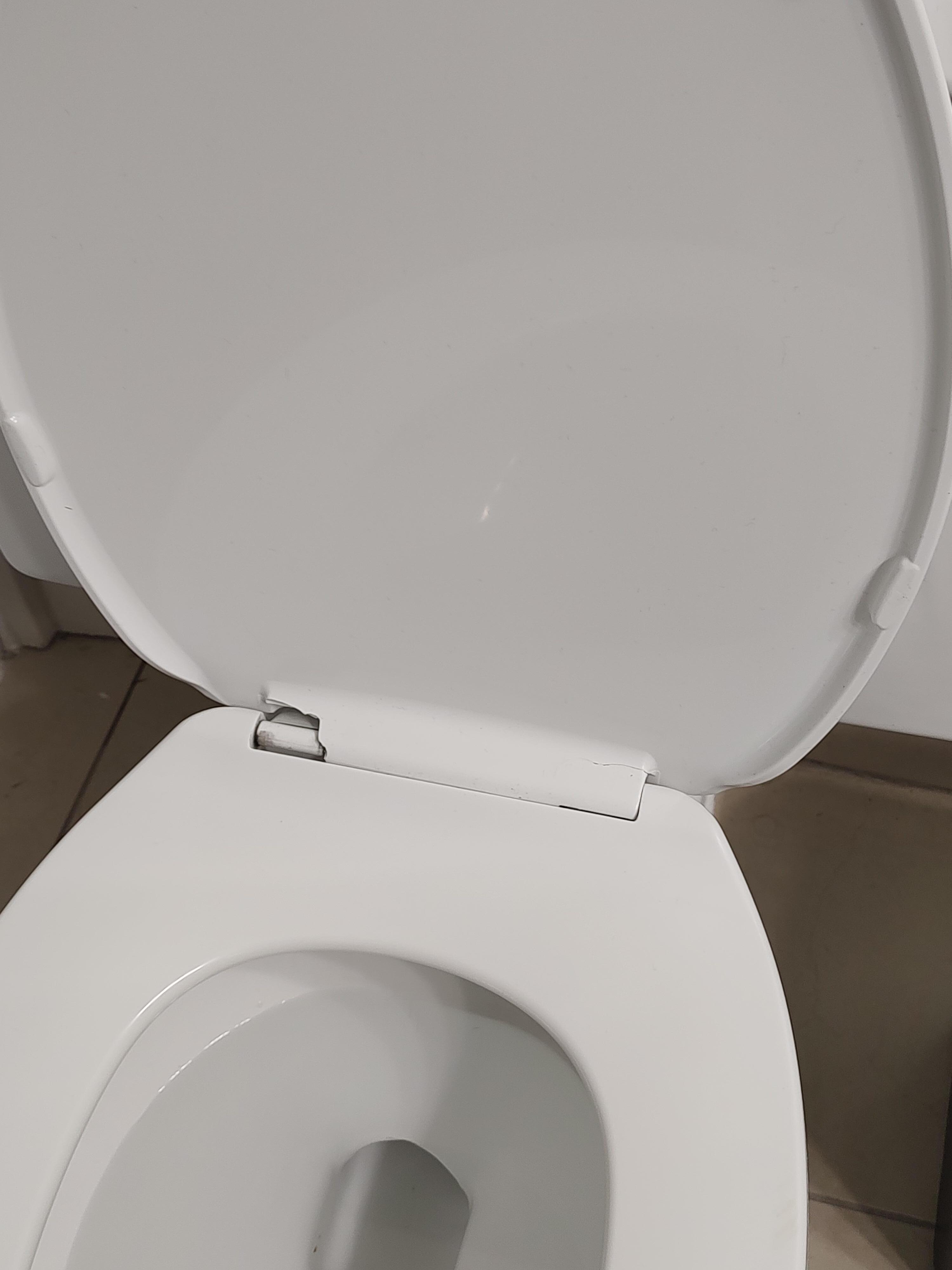 Broken toilet seat