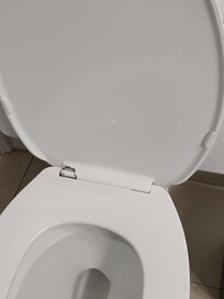 Broken toilet seat