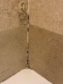 More mold. It was everywhere