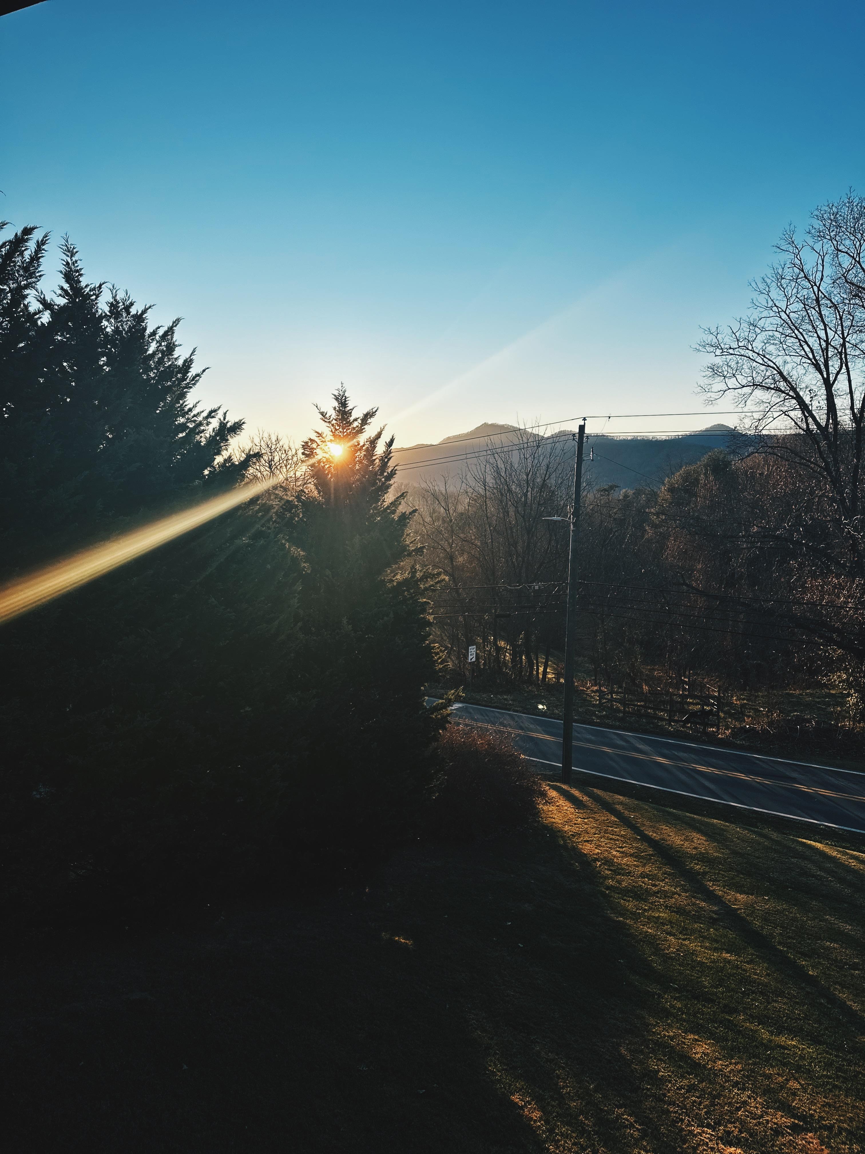 View from the front balcony in the morning! 