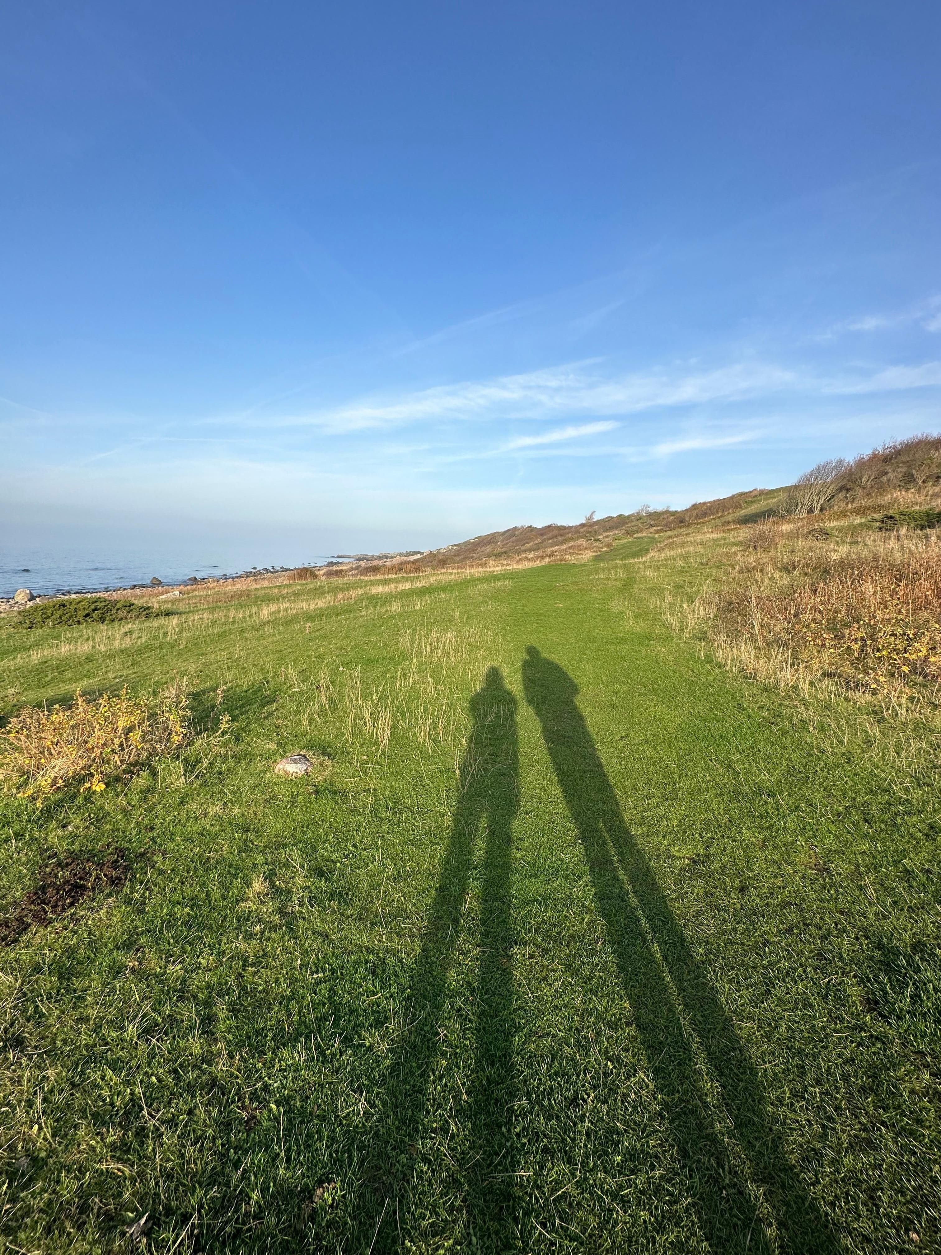Ettermiddagstur i nærområdet , vakkert!