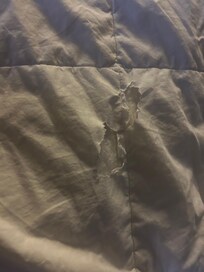 Torn