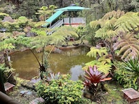 The koi pond