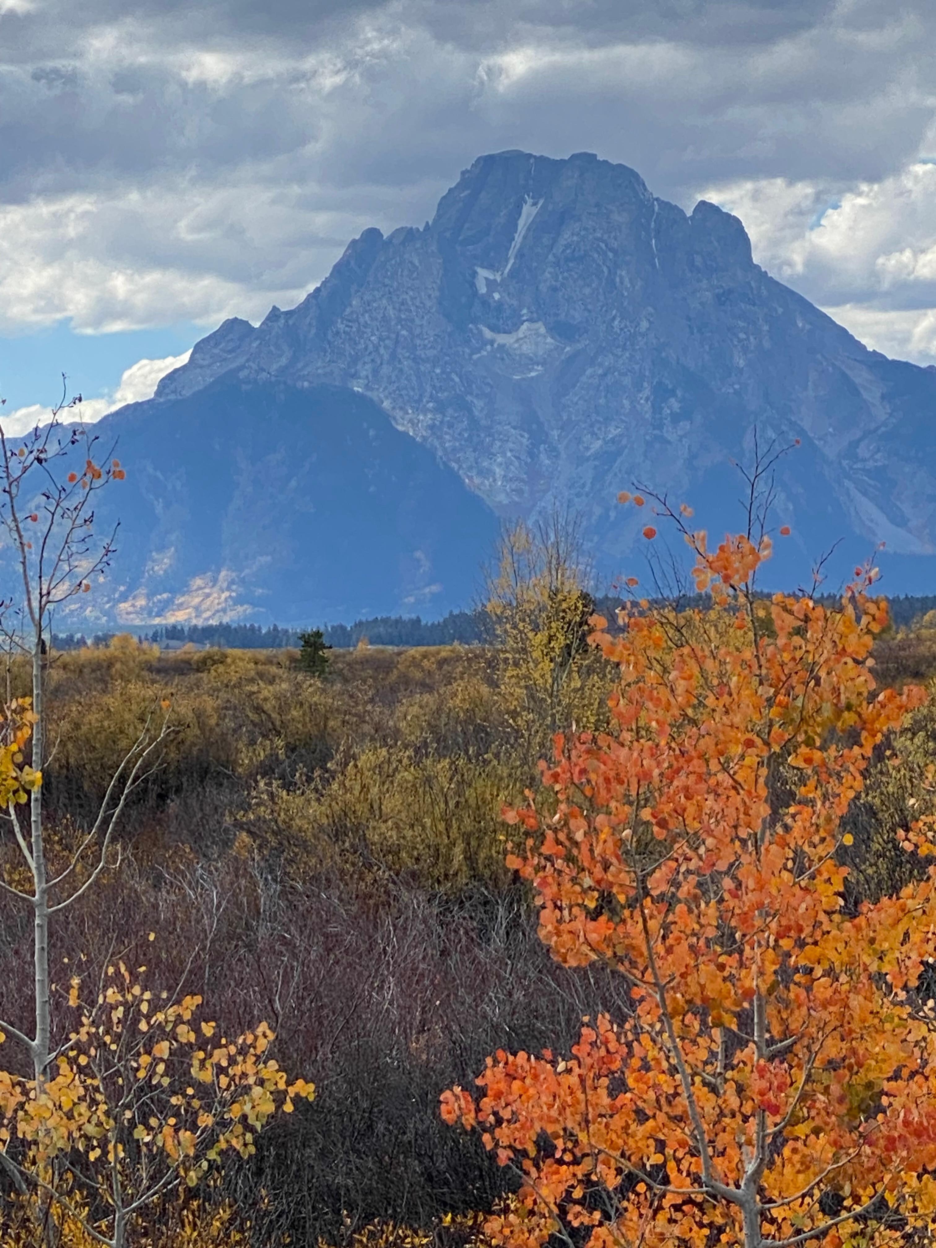 Fall foliage in the park