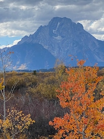 Fall foliage in the park