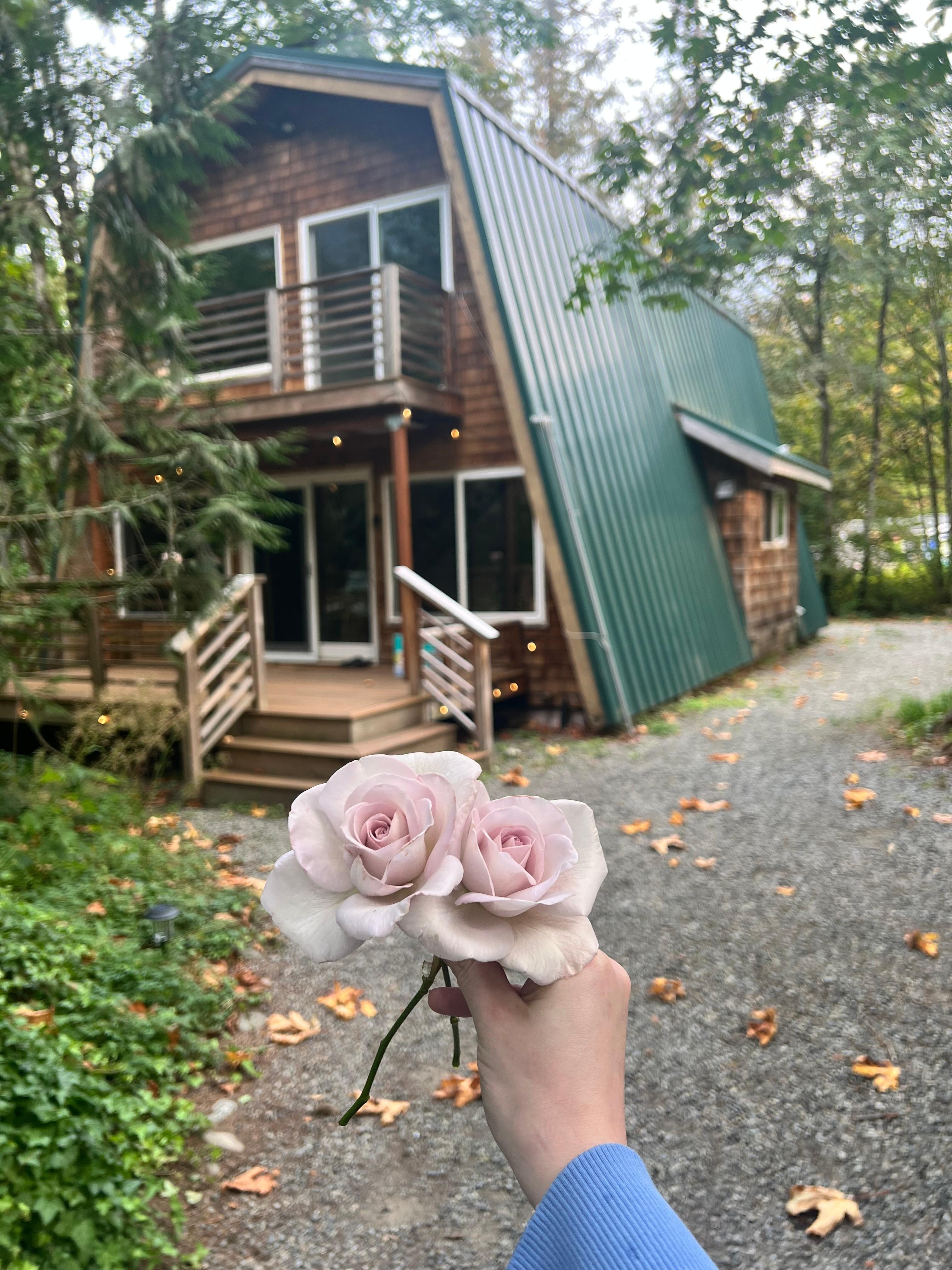 Brought flowers from our family farm. The cabin is too gorgeous not to use as a backdrop! 